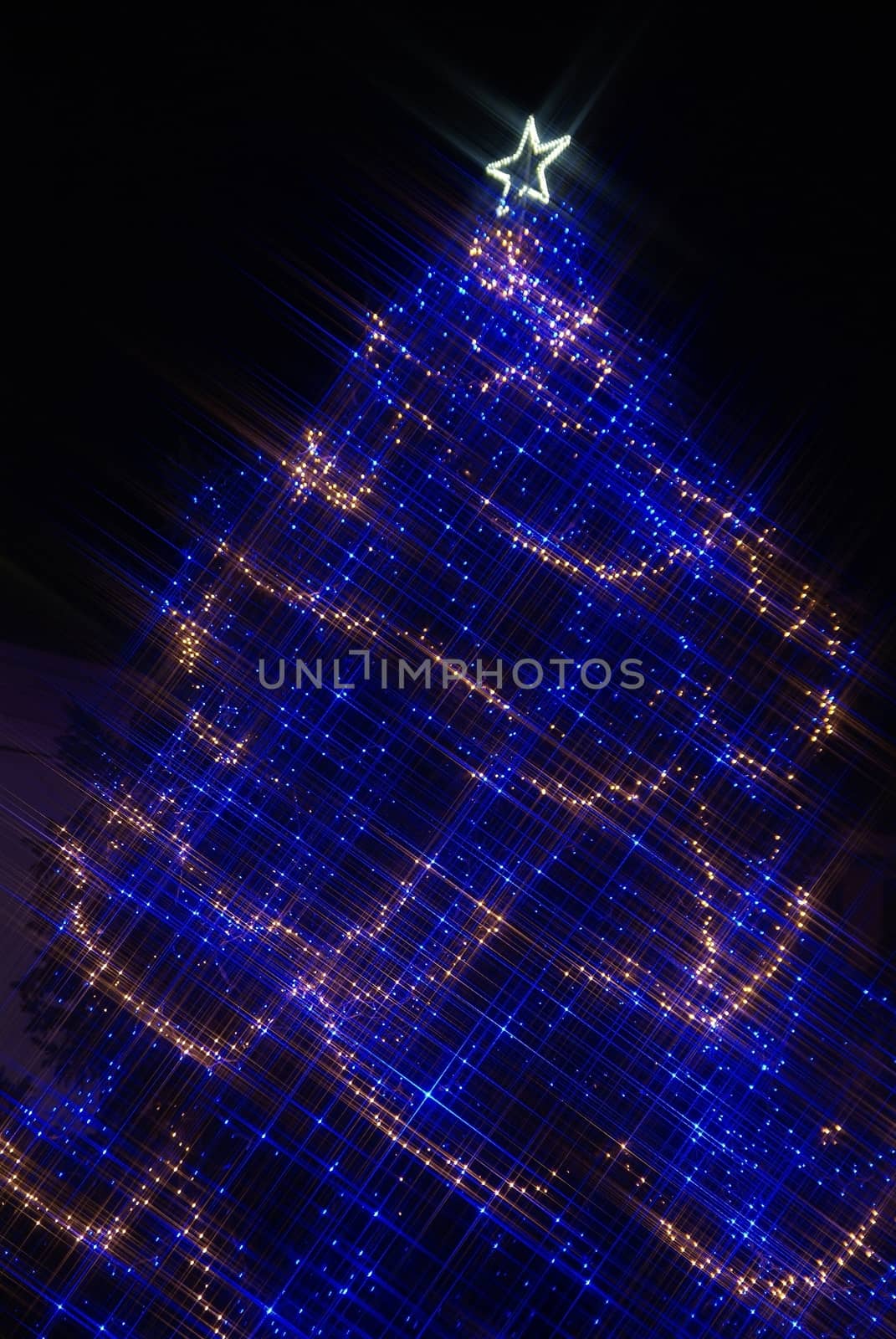 Christmas Tree with Multi Colored Lights at Night