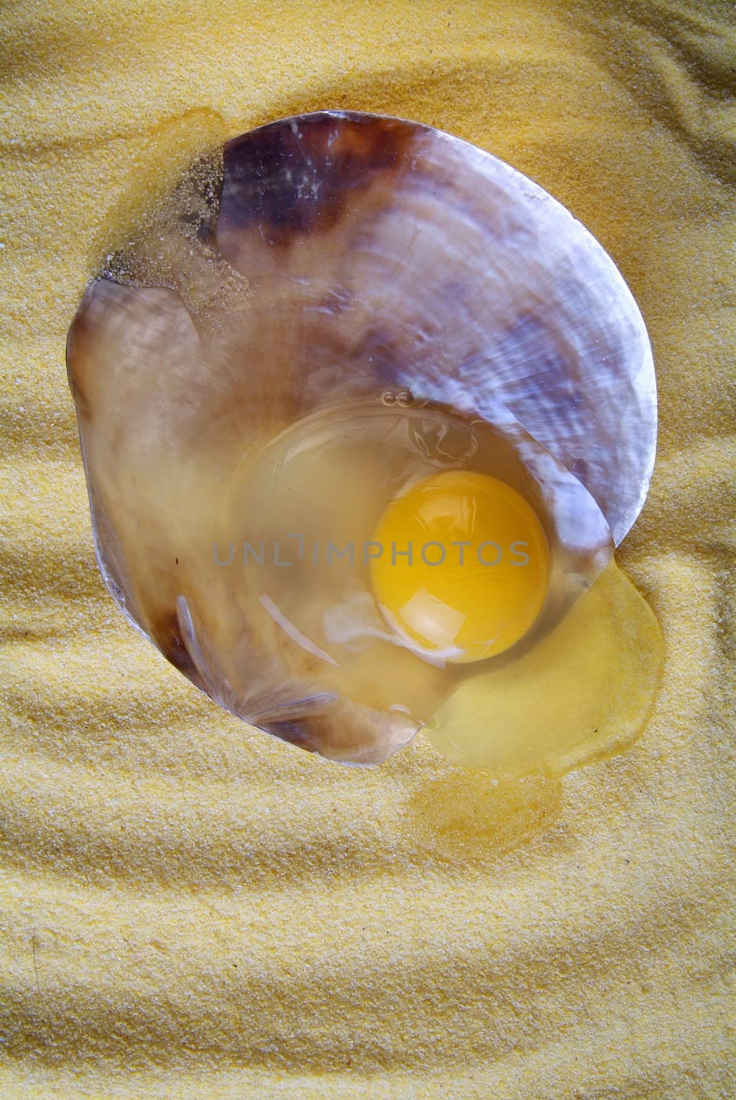 Raw egg isolated on sand background, inside a seashell