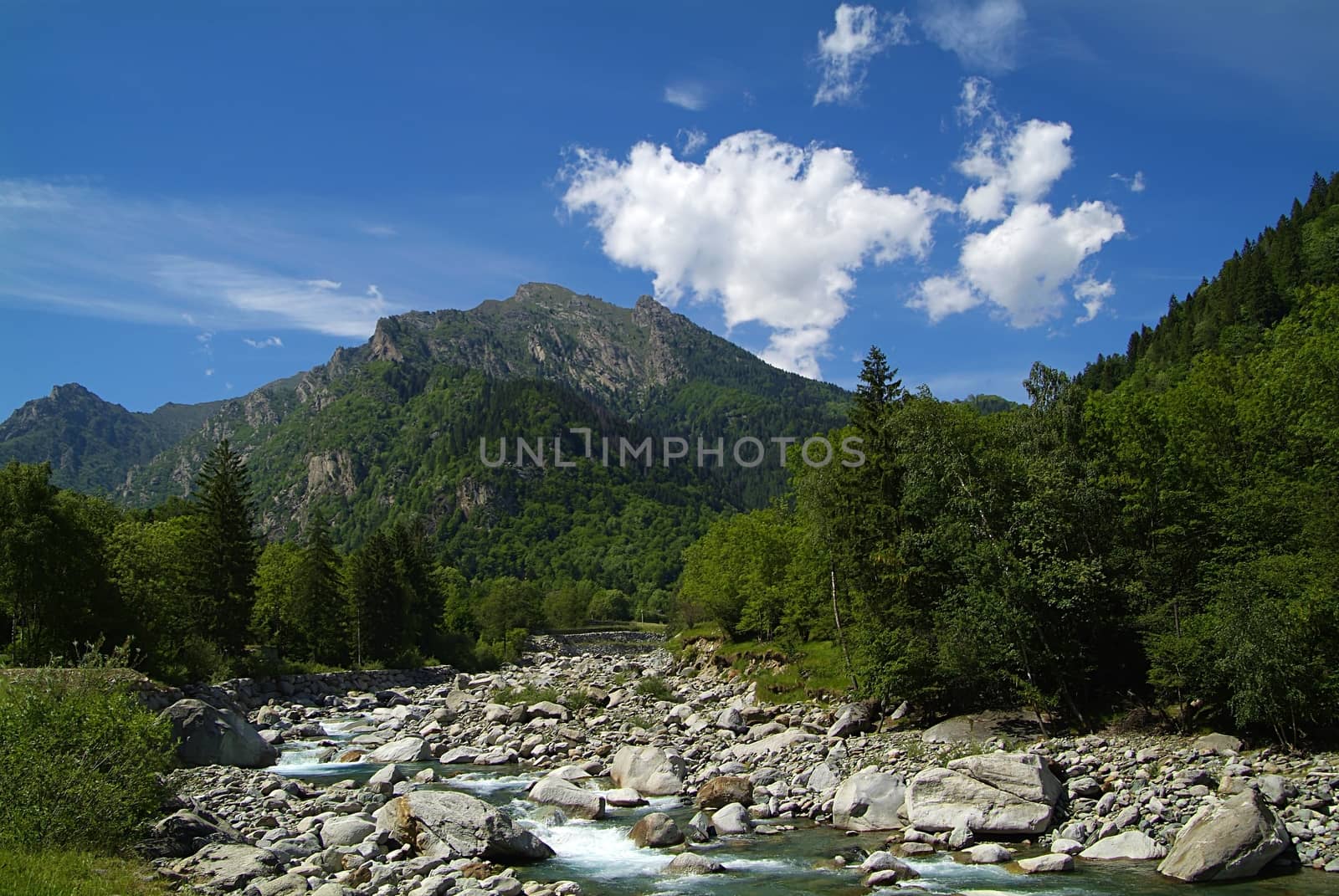 Mountain valley forest trees landscape. Agriculture mountain field landscape. Mountain agriculture field view.