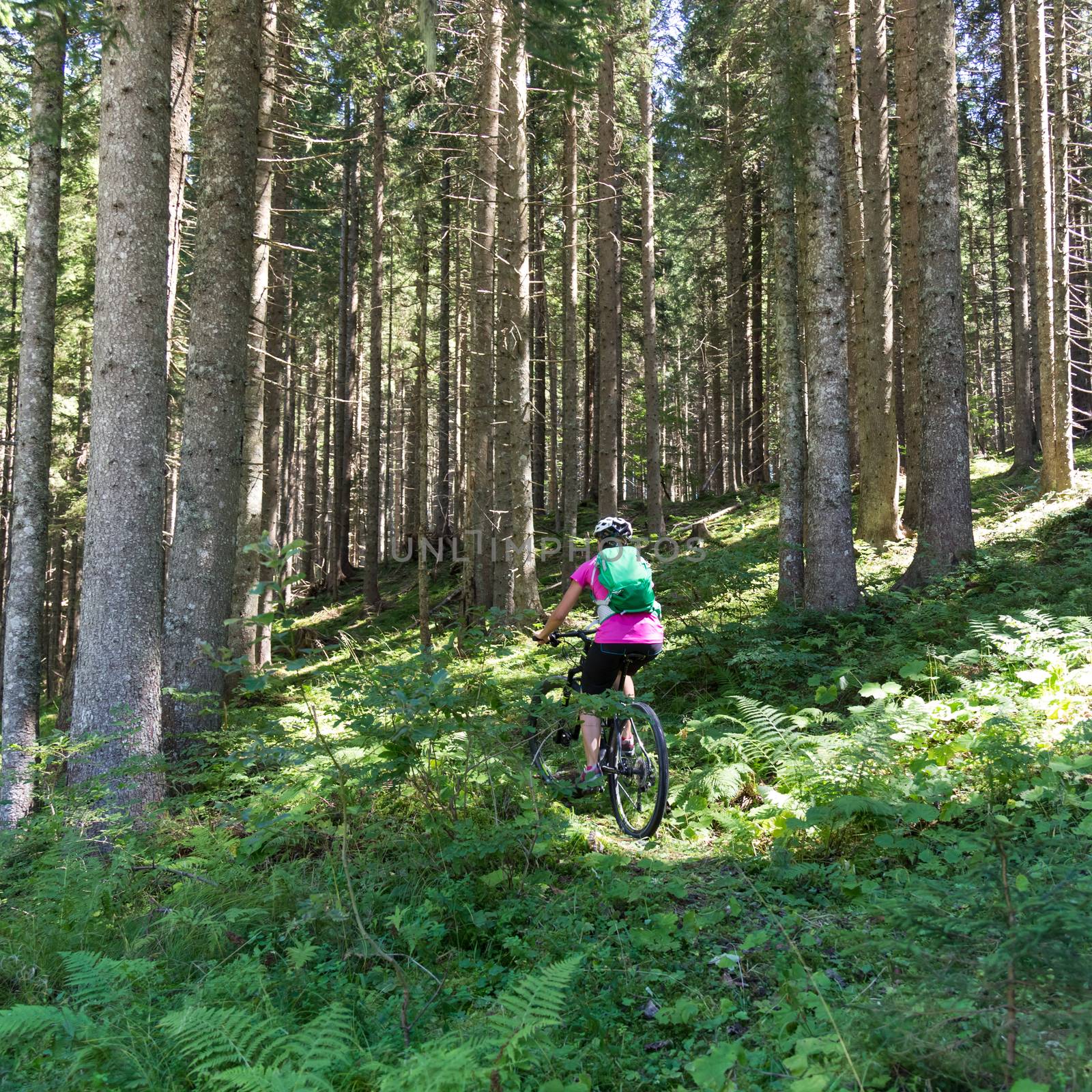 Active sporty woman riding mountain bike on demanding forest trail.