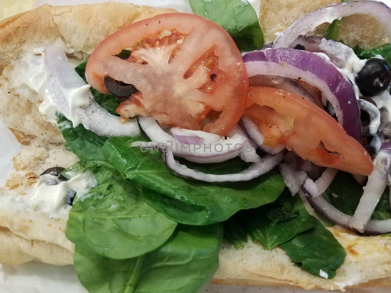 open sandwich with onion, spinach, tomato and chicken and mayonnaise