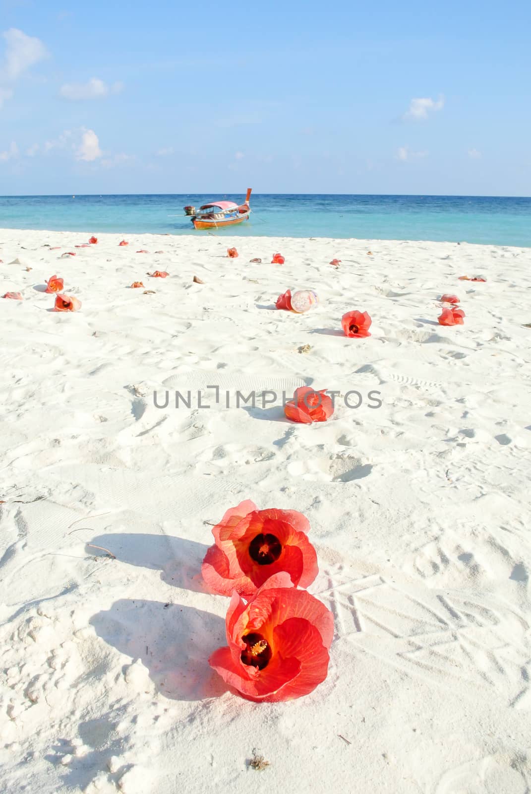 Blue sea, white sands and red Hibiscus flowers by yuiyuize