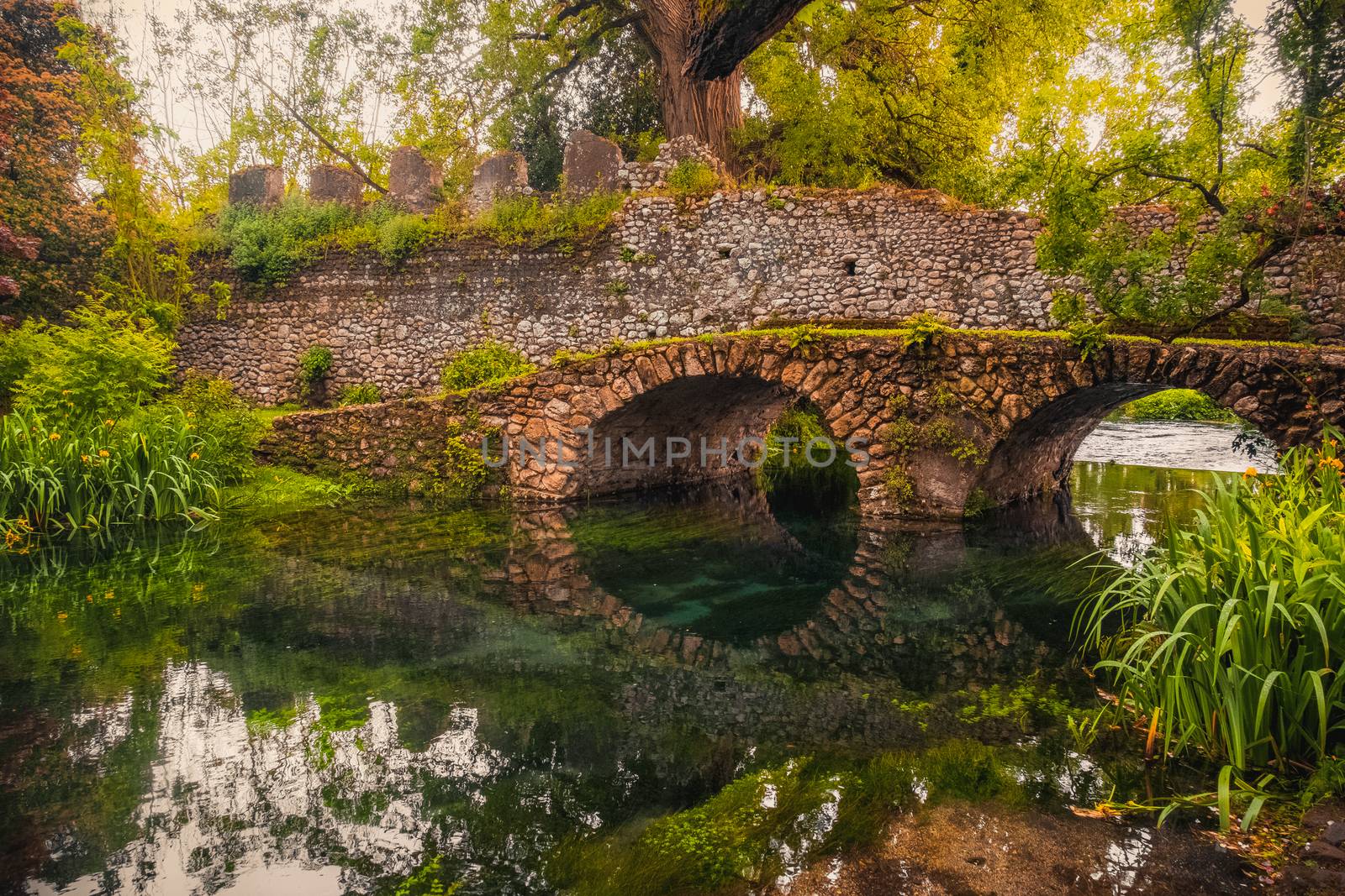 dreamlike medieval fantasy forest fairy landscape river bridge .