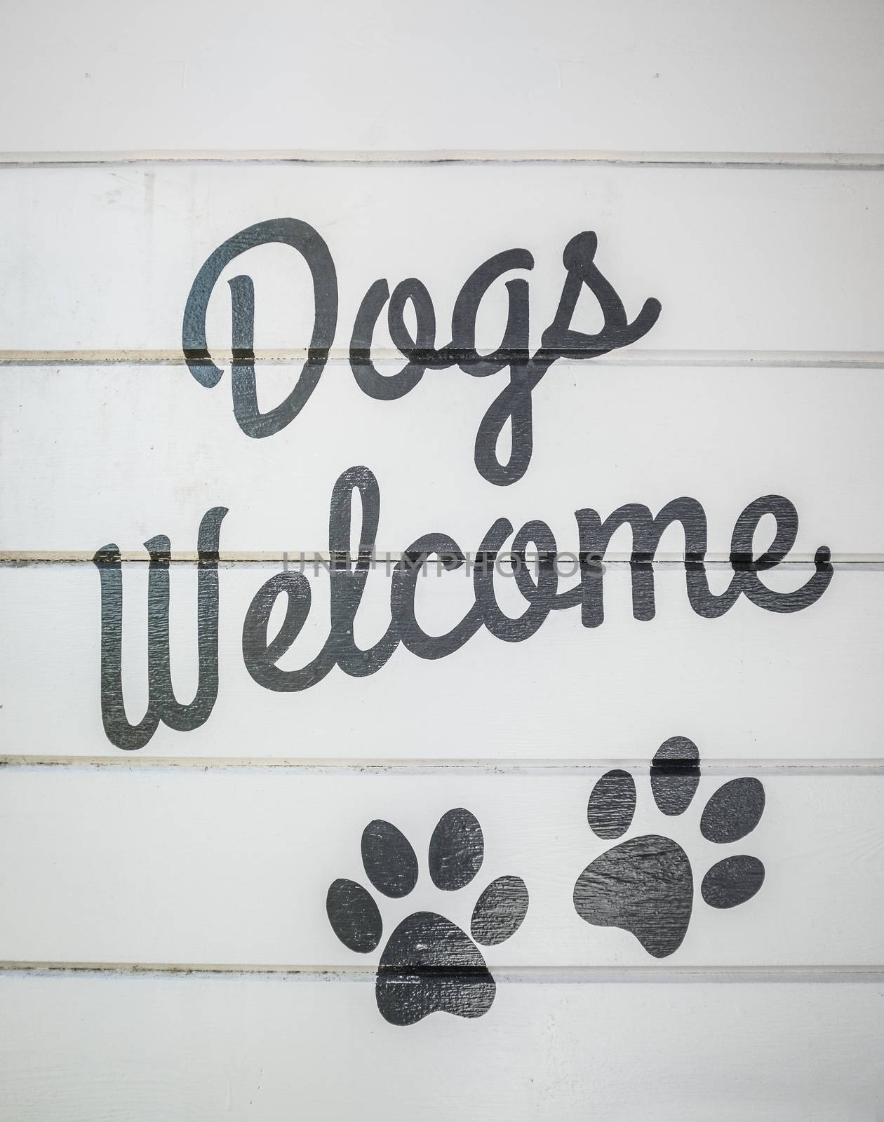 Retro Vintage Style Dogs Welcome Sign On A Wooden Wall Of A Cafe Or Restaurant Or Hotel