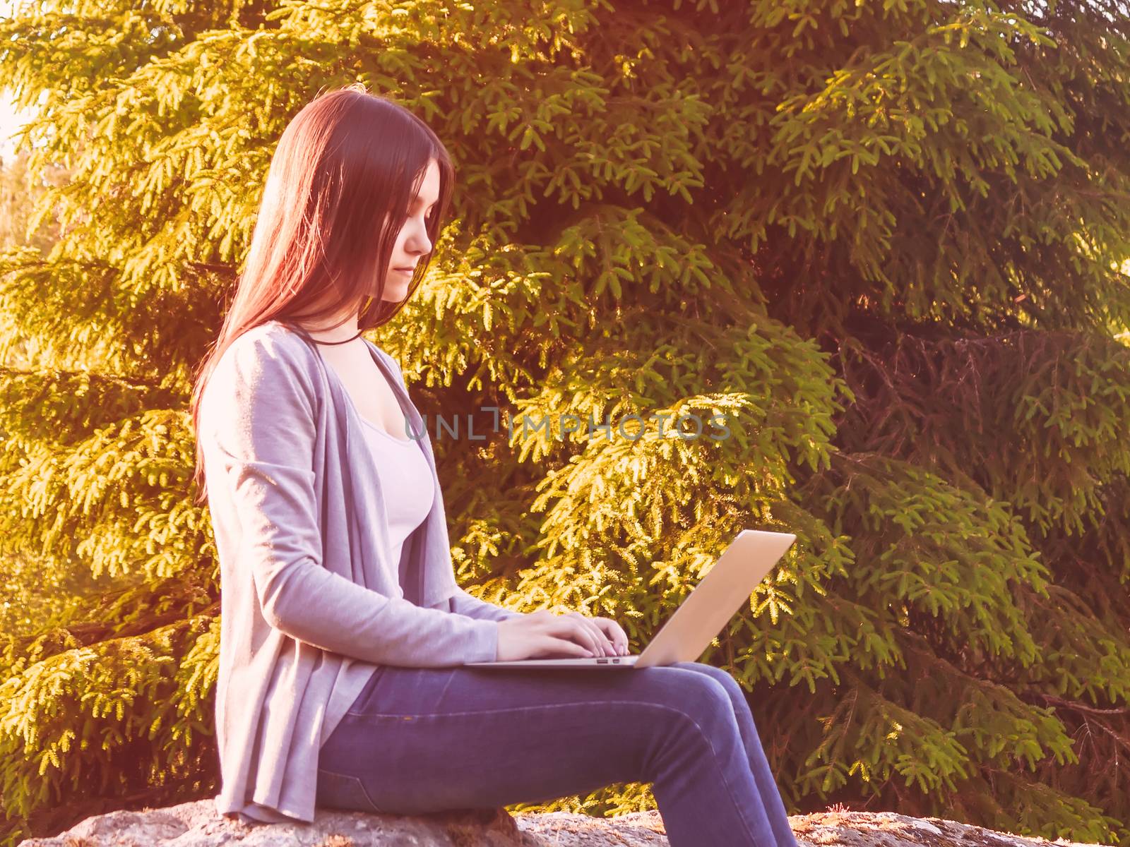 Young beautiful girl is working on a laptop while sitting on a big rock in the forest. Freelance concept.