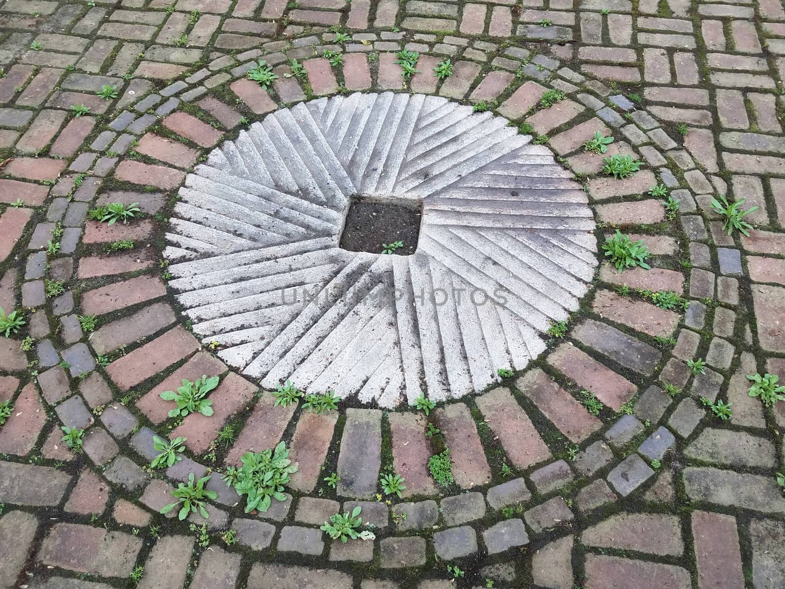 red bricks and white cement in circle on ground with weeds by stockphotofan1