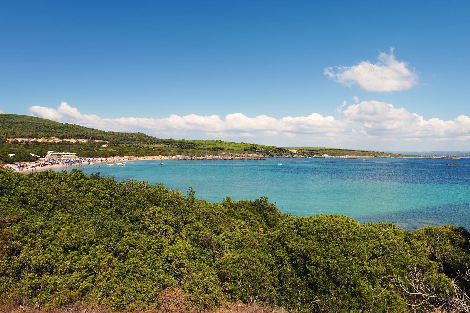 panoramic of the beach of Lazzaretto in Alghero, Sardinia, Italy. turquoise water bay surrounded by vegetation