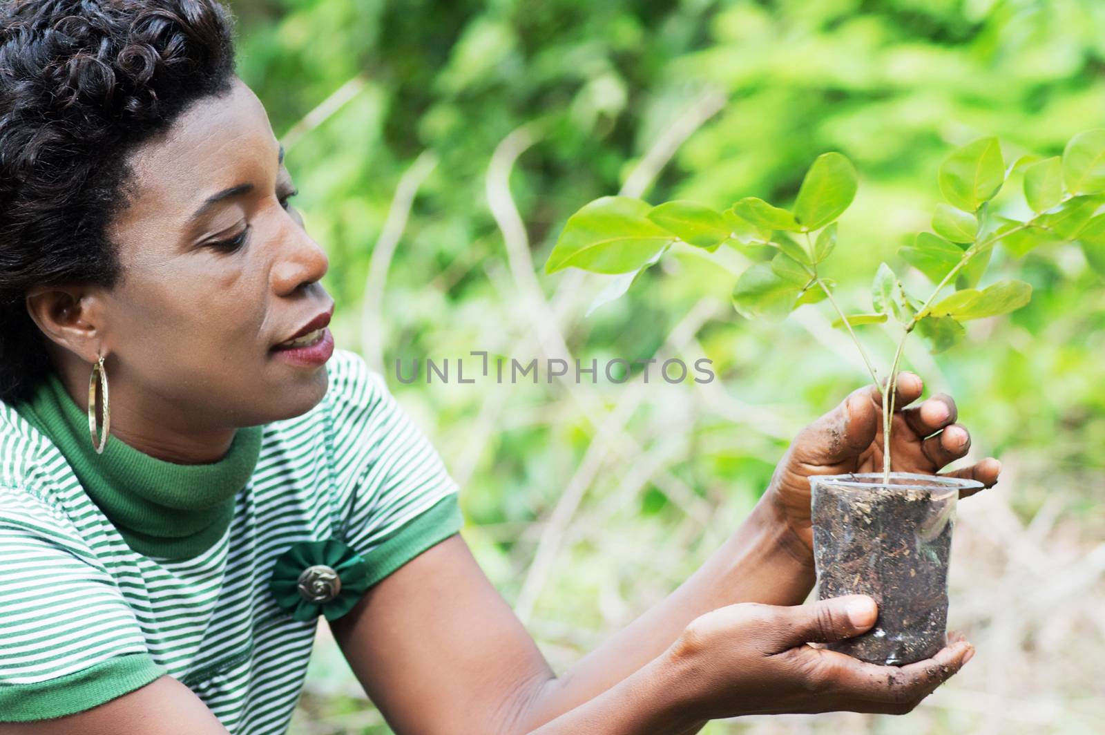 young woman planting a flower in a bowl to the market.