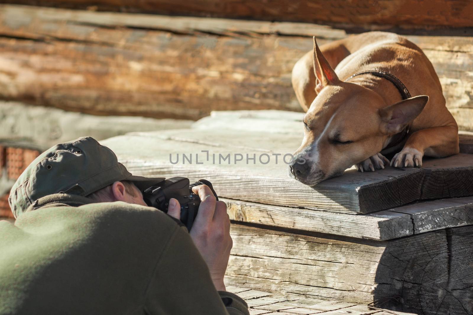 The photographer photographs the sleeping dog by sveter