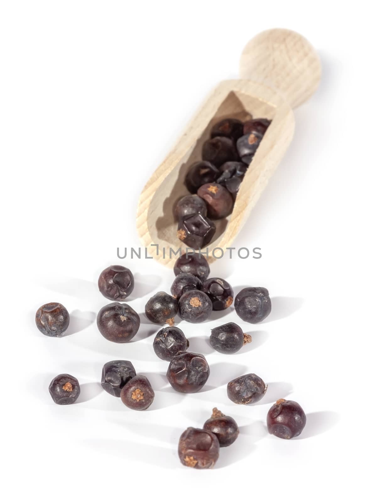 Dried juniper berries isolated on white. Soft focus view. Close up.