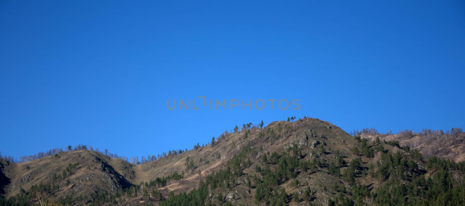 High mountain ranges with sheer cliffs, covered with rare forest. Altai, Siberia, Russia.