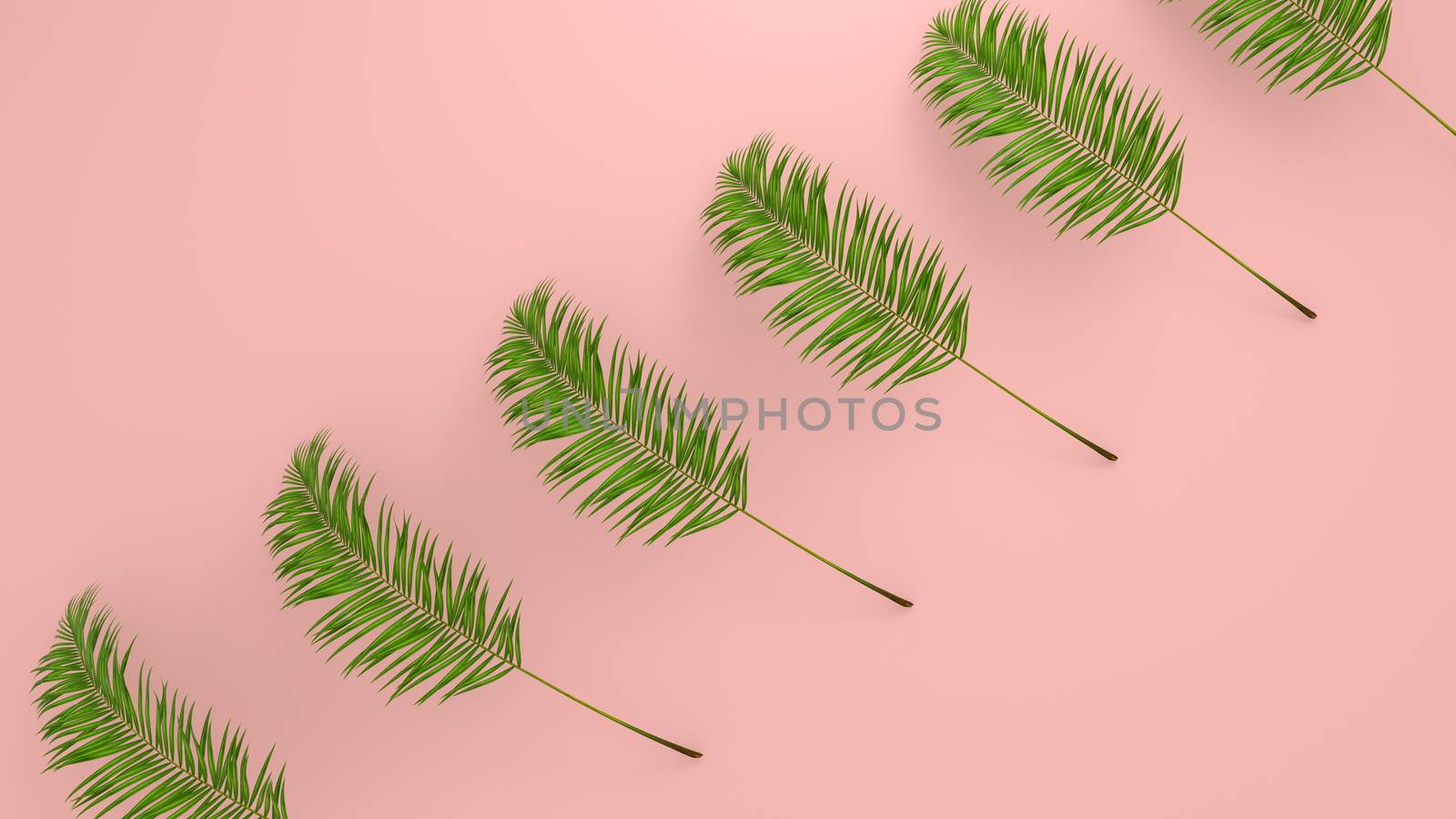 Realistic palm leaves on Coral Living background for cosmetic ad or fashion illustration. Tropical frame exotic banana palm. Sale banner design. 3D render by Shanvood