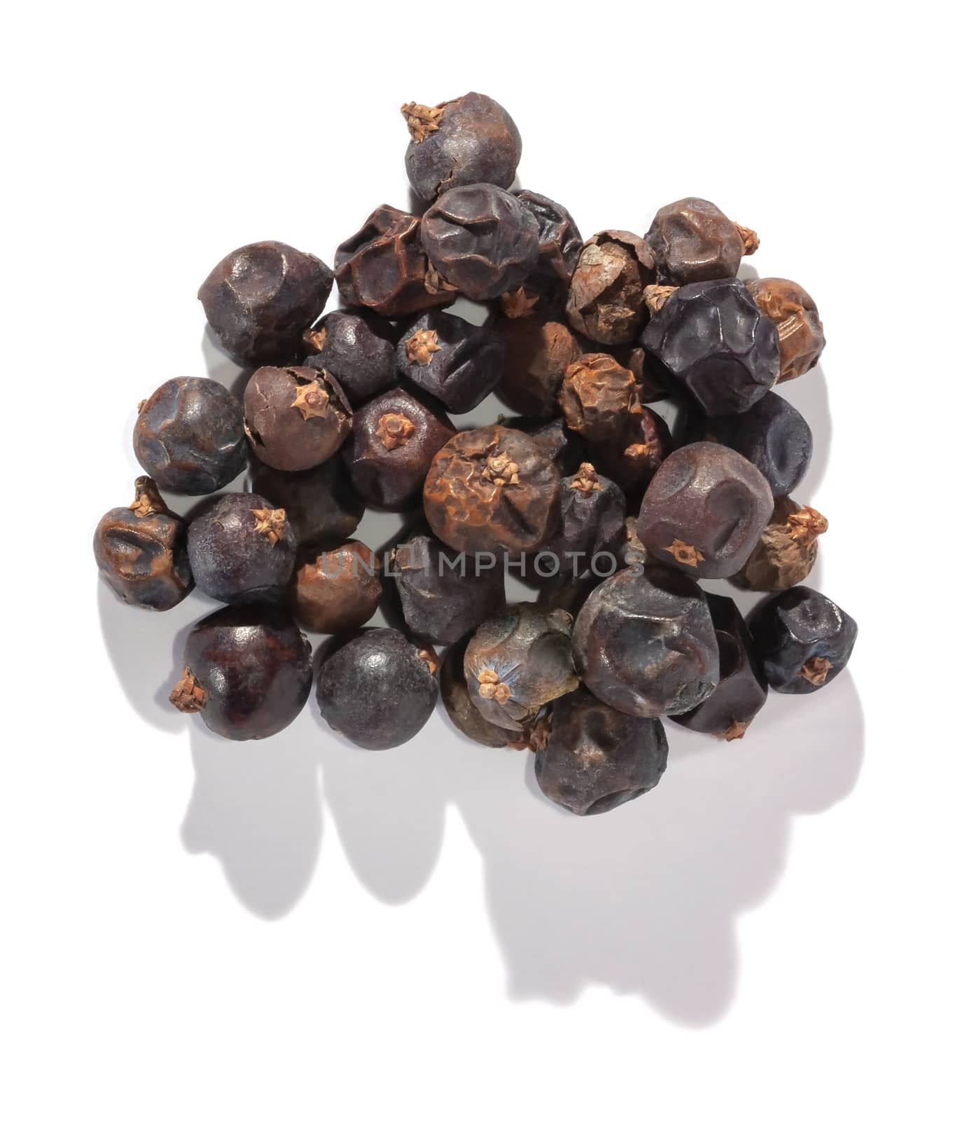 Dried juniper berries isolated on white. Soft focus view. Close up.