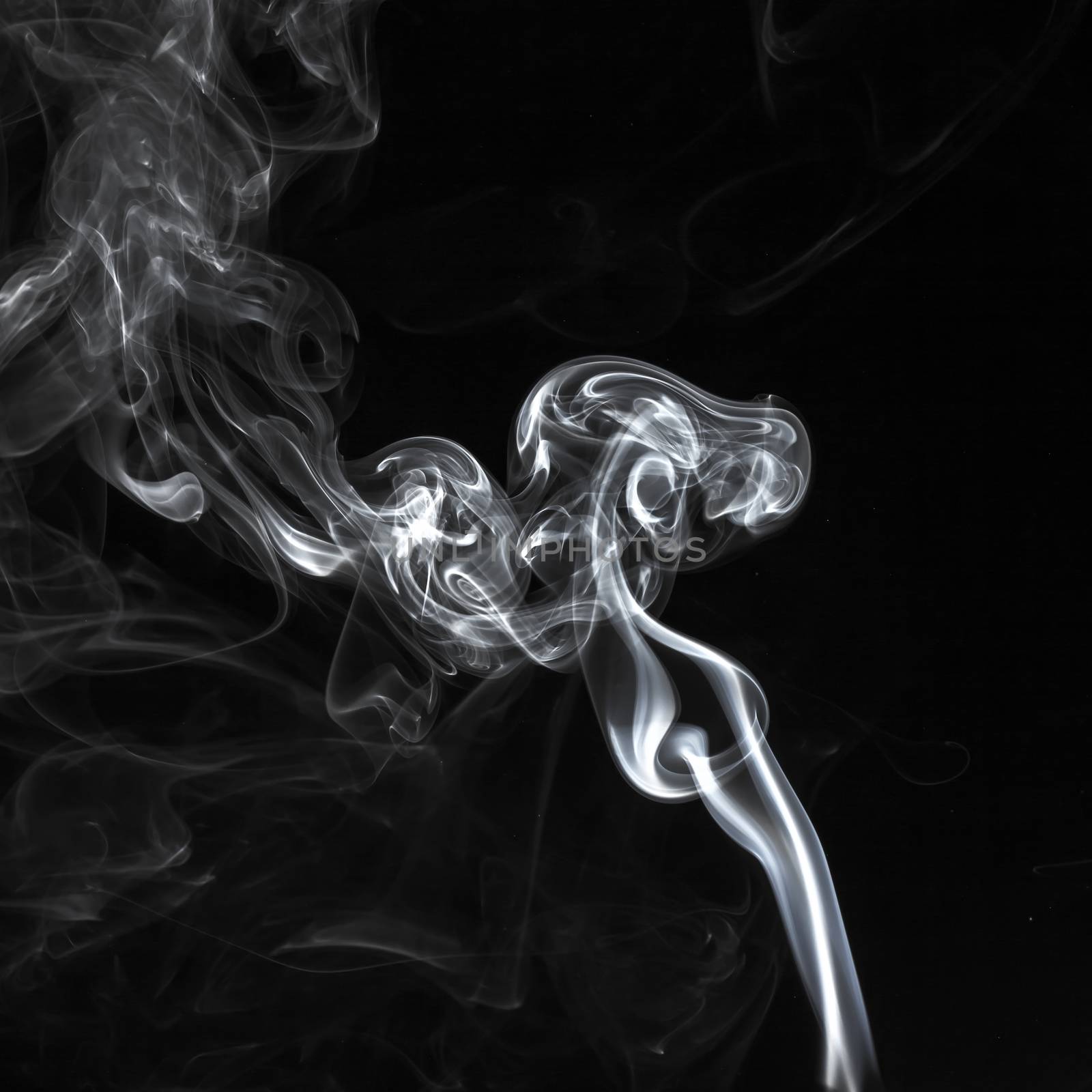 Abstract white smoke swirls pattern over the black background by petrsvoboda91