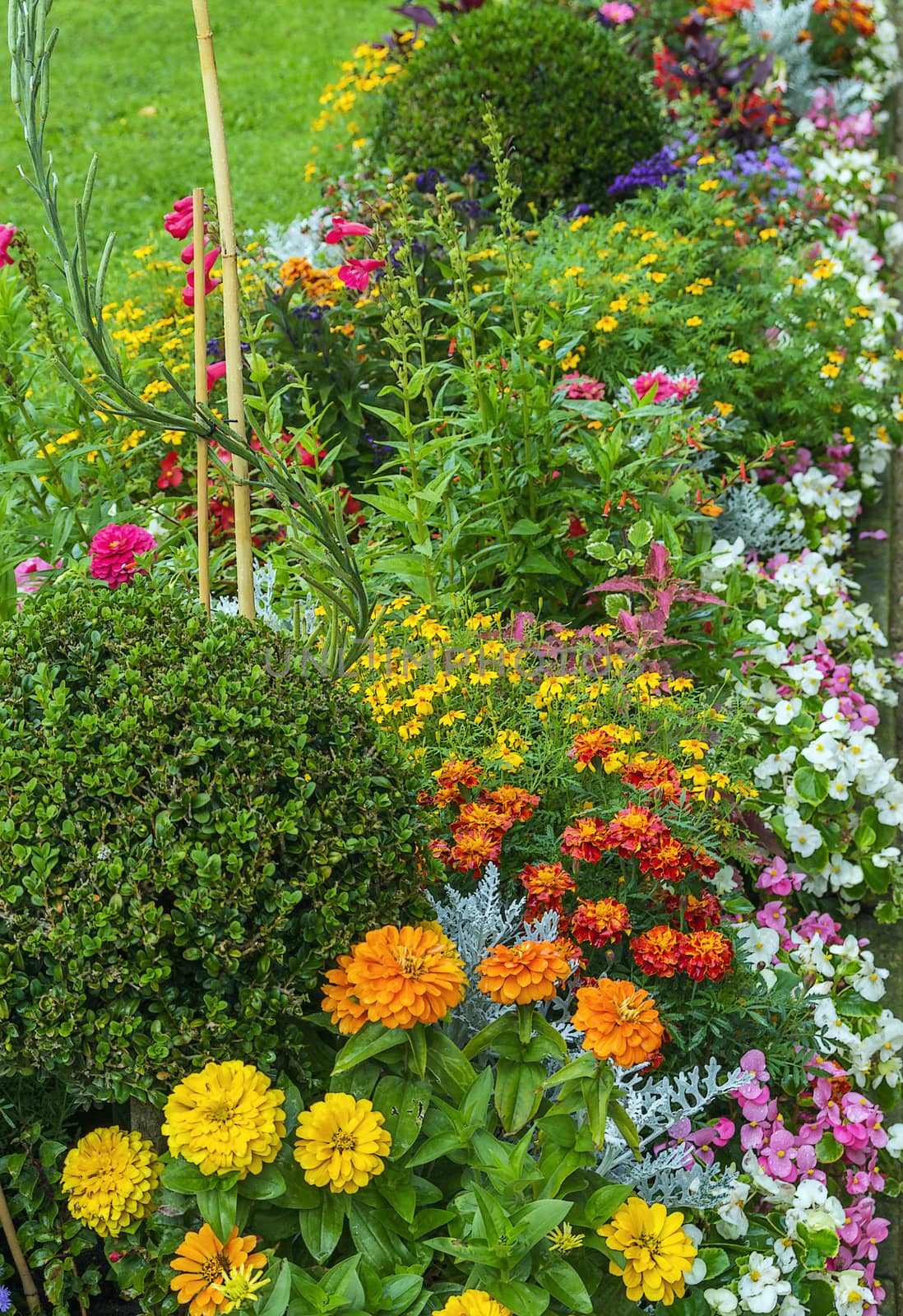 flowerbed in Sanssouci, Germany by borisb17