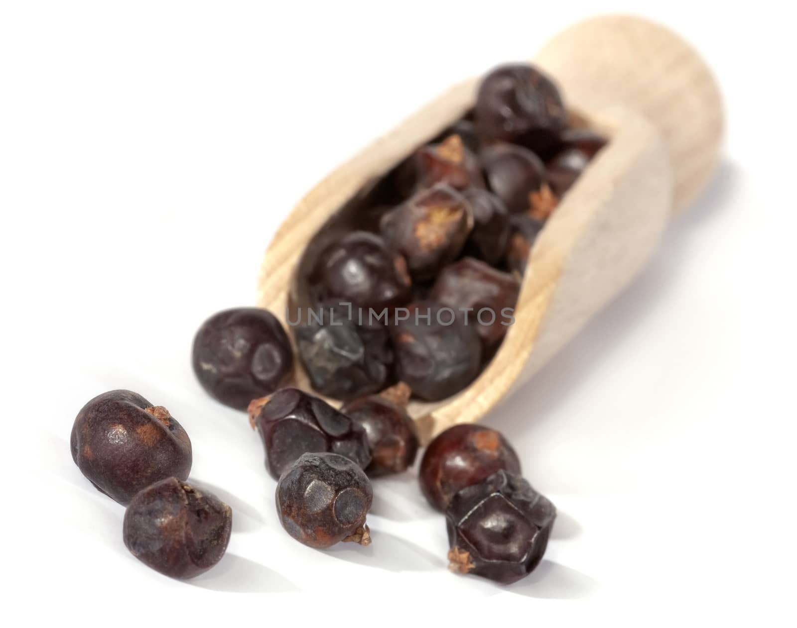 Dried juniper berries isolated on white. Soft focus view. Close up.