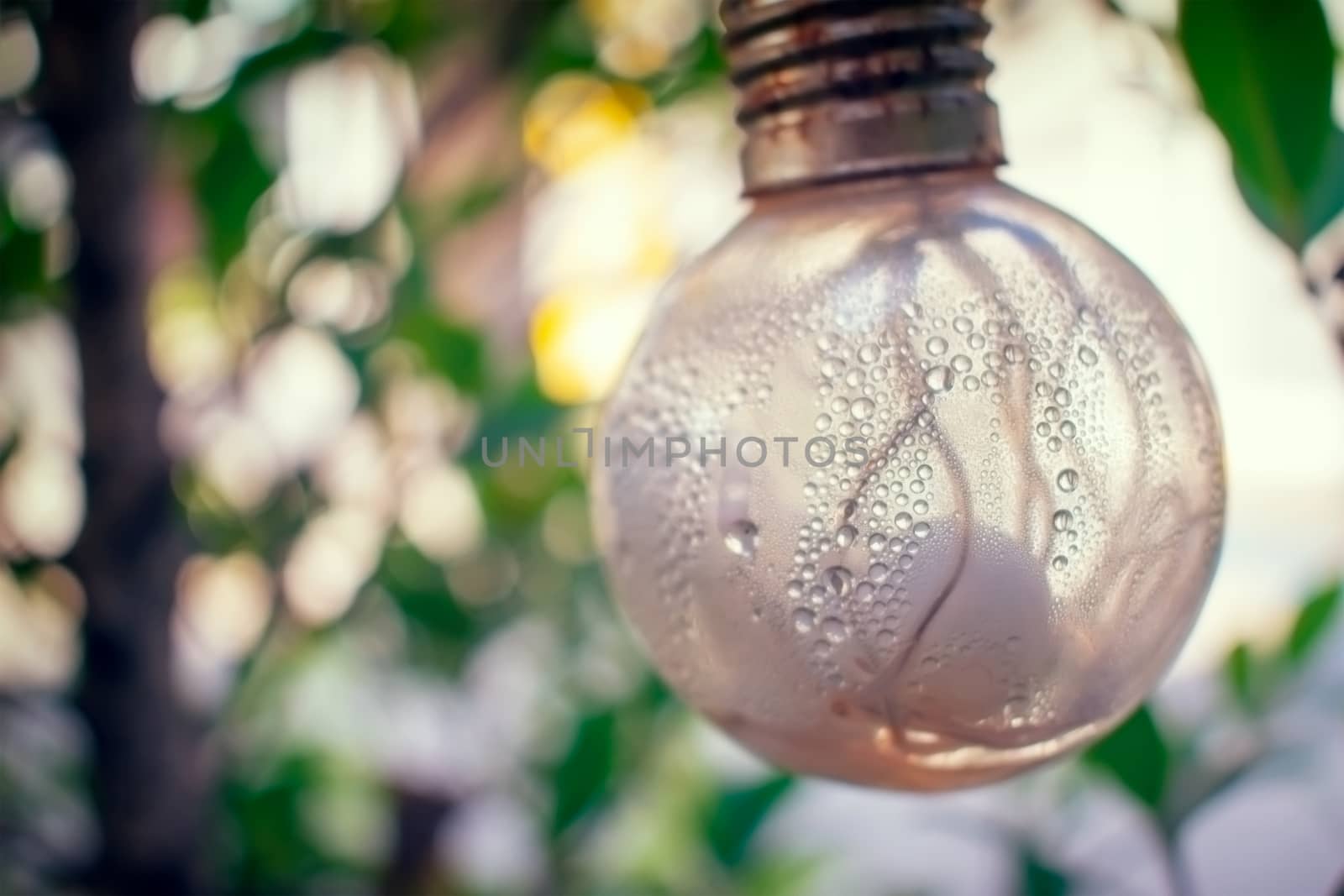 Condensation and Moisture Inside a Light Bulb. by seika_chujo