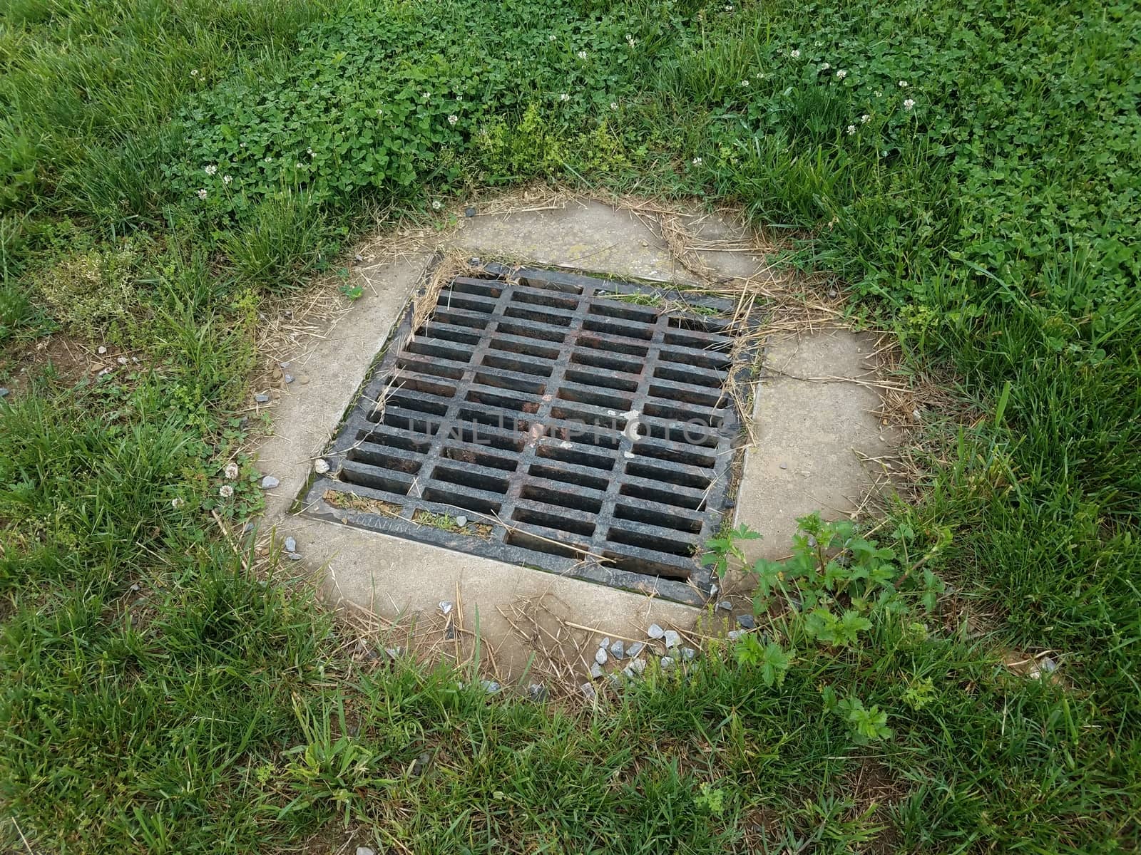 metal grate with cement and green grass or lawn outdoor