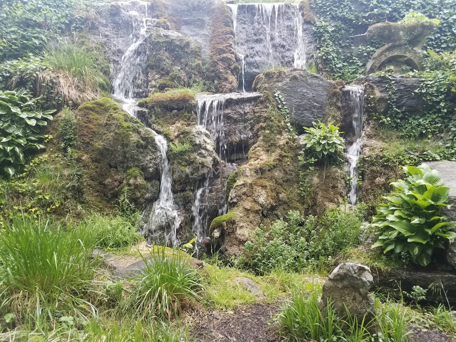 rock wall with flowing water or waterfall and green plants