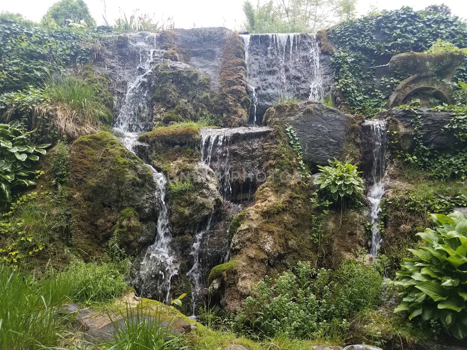 rock wall with flowing waterfall and green plants by stockphotofan1