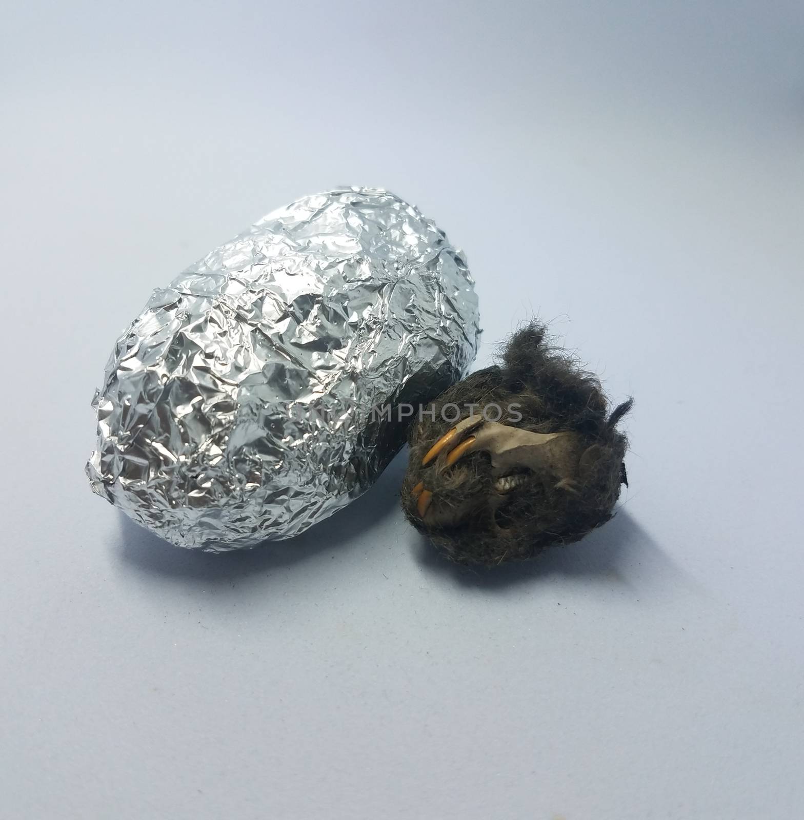 rat skull and object wrapped in foil on white background by stockphotofan1