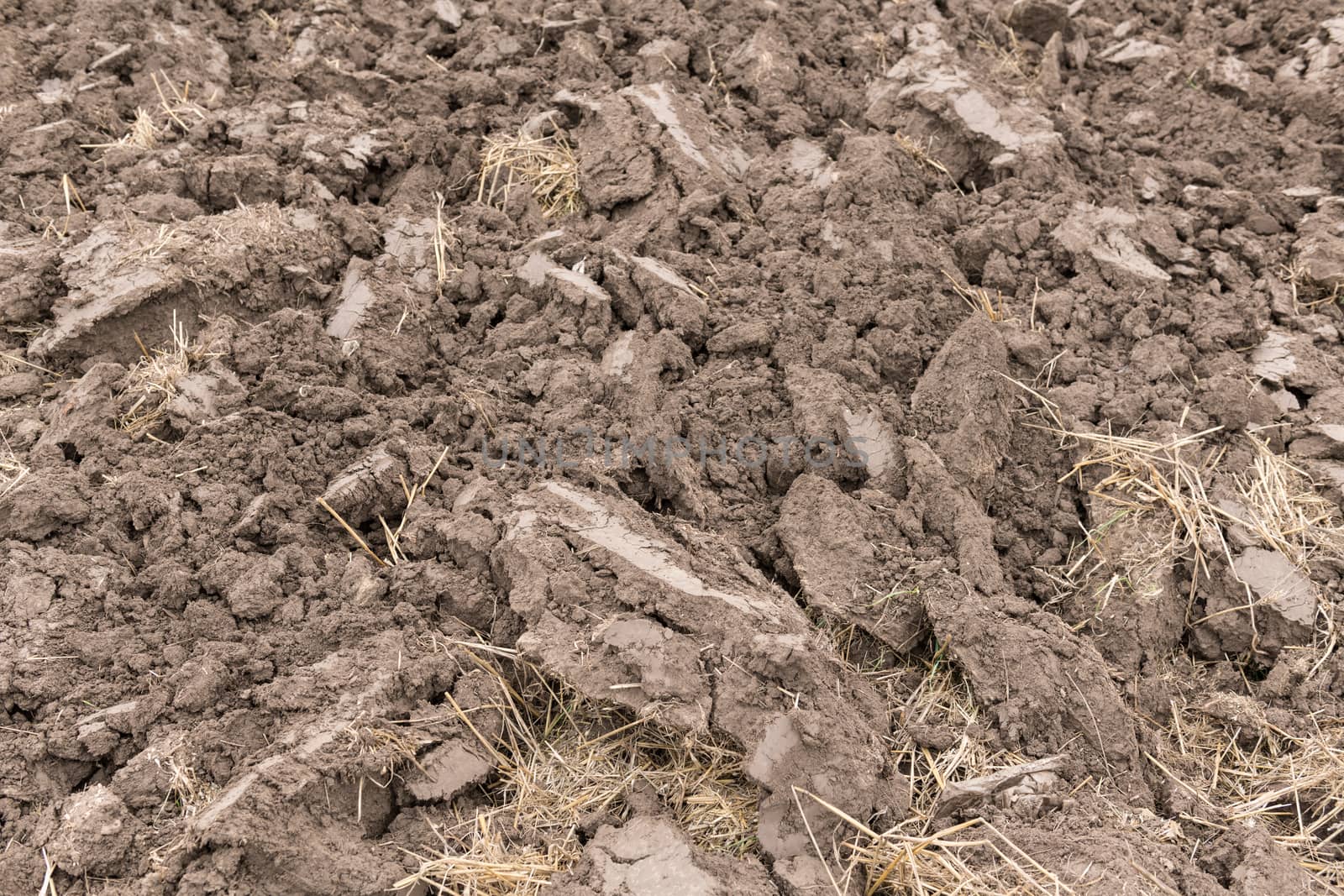 Preparation of soil for cultivation or earth background used for gardening and agriculture.