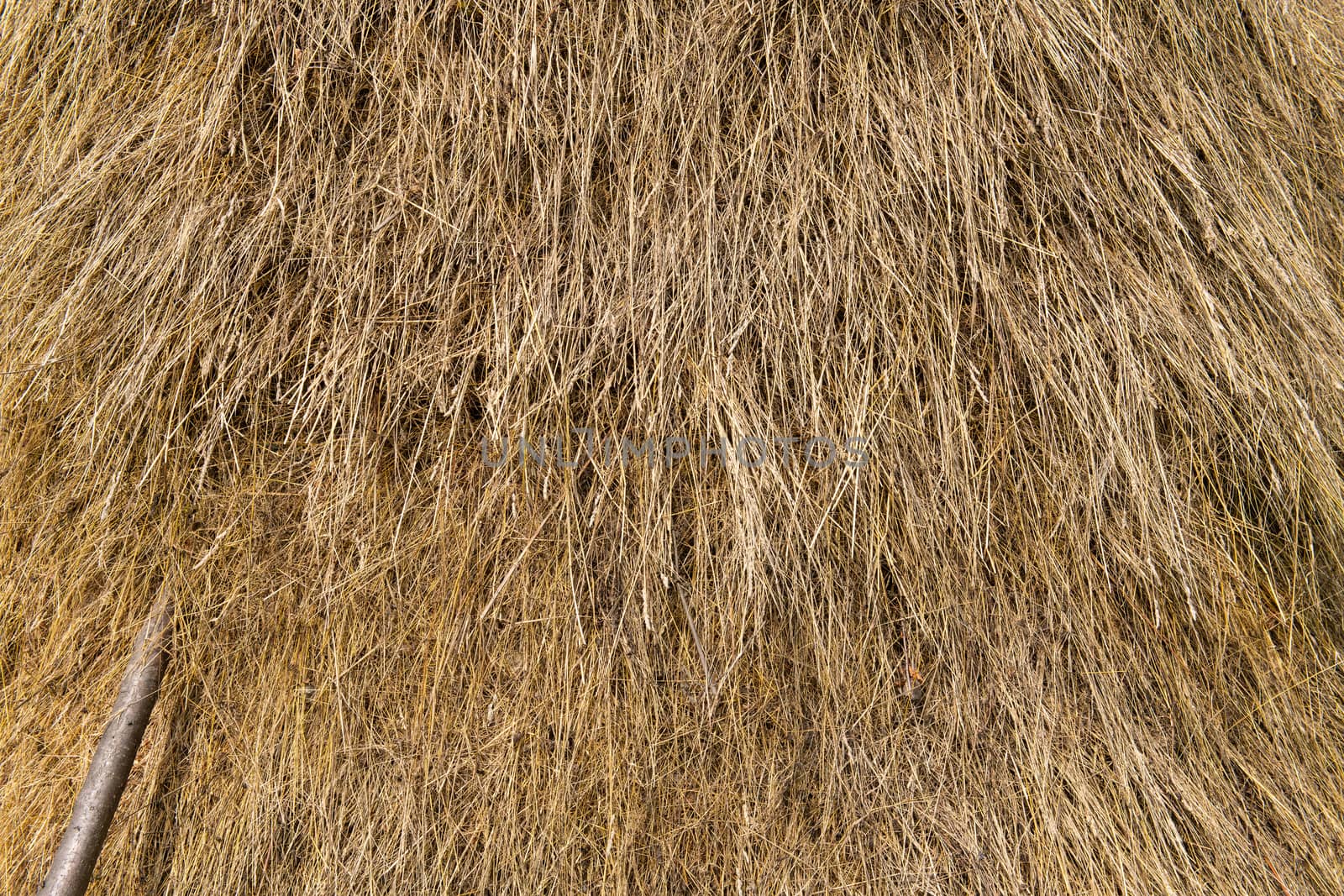 Background of loose stacked dry hay texture with wood pole.