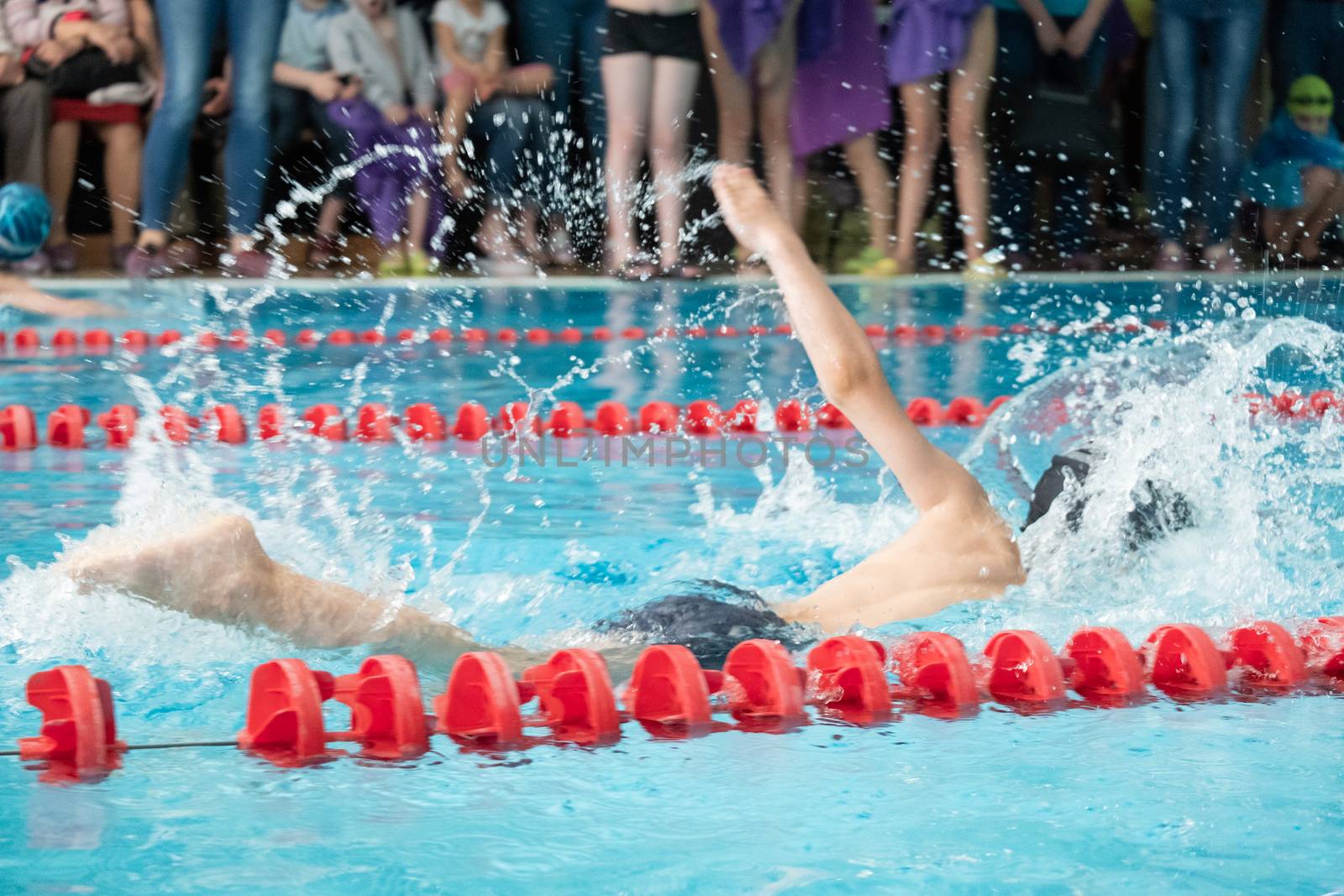 Children swimming freestyle. Indoor swimming pool with clear blue water.