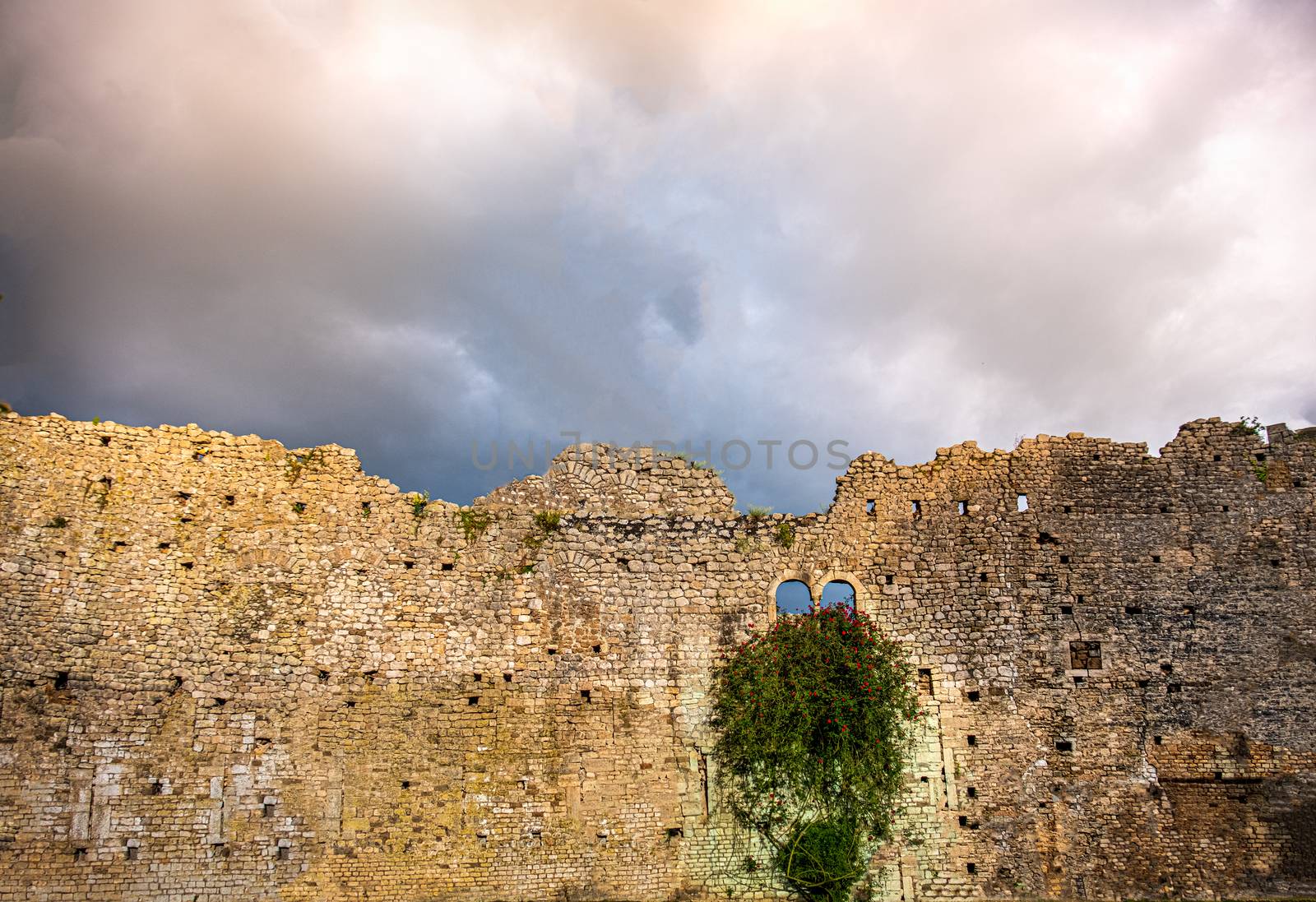 damaged castle wall background ruins sky backdrop storm clouds windows ivy plant flowers copyspace .