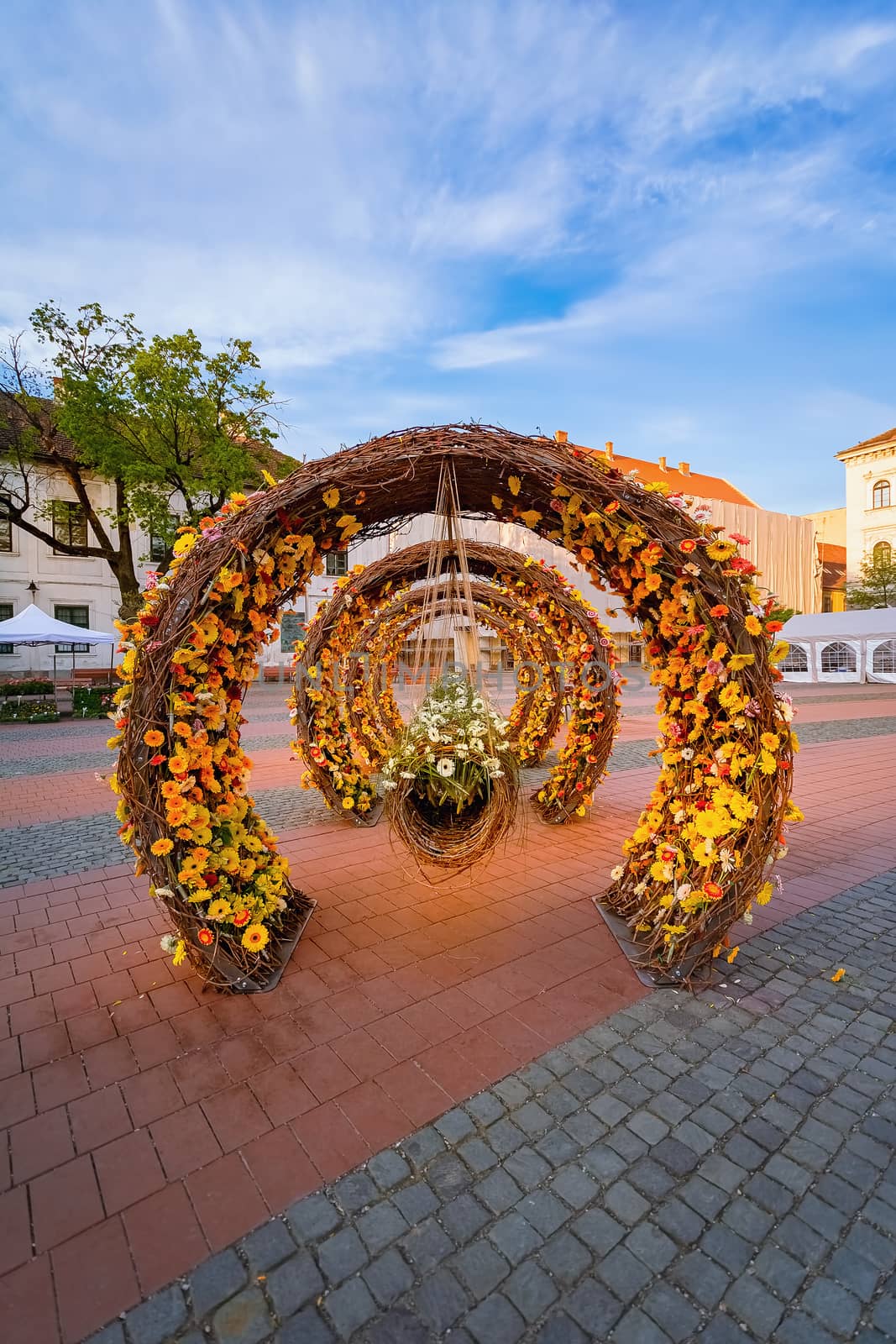 Flower arrangement on Liberty Square in Timisoara, Romania