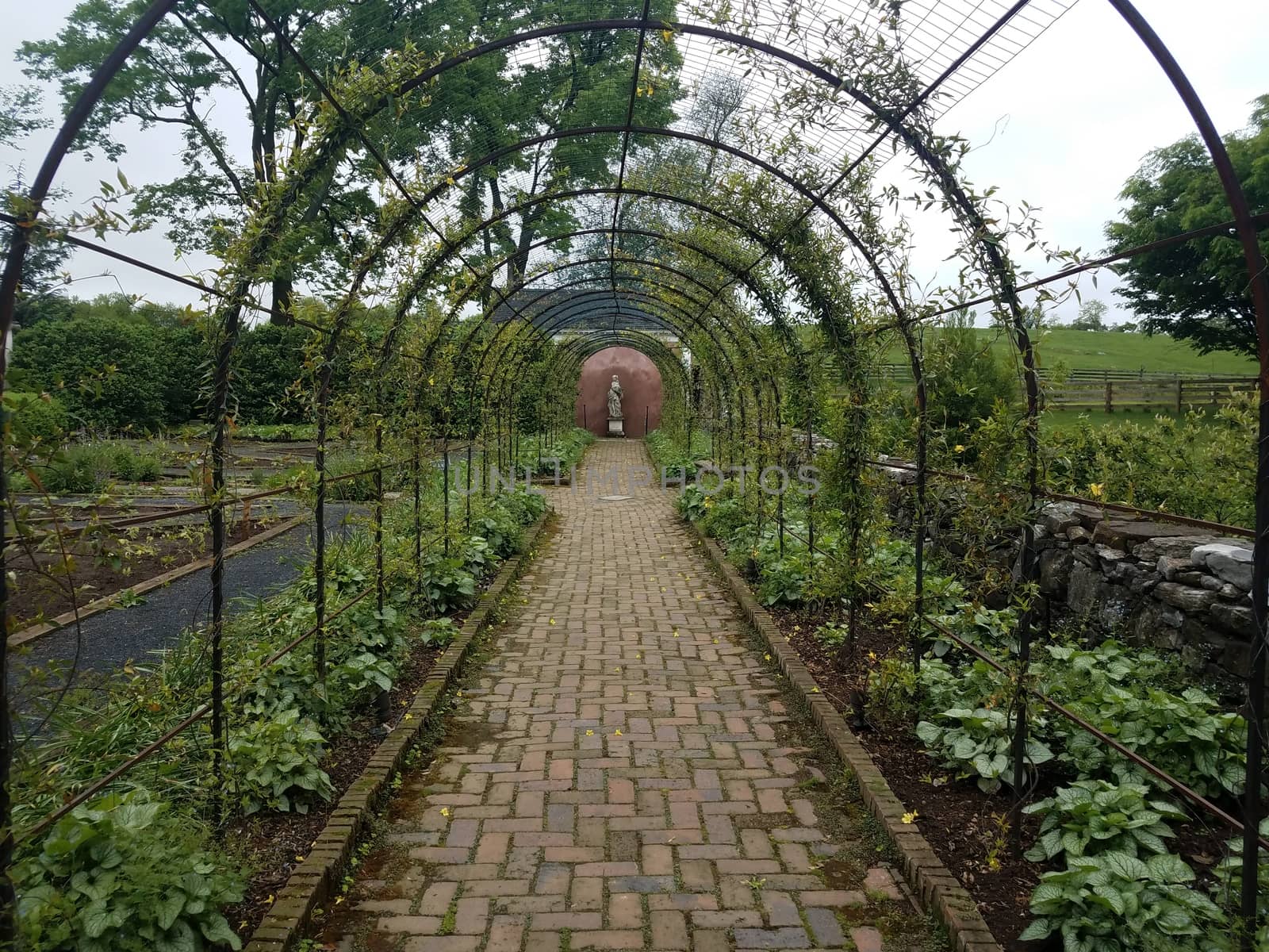 red brick path or trail and metal lattice in garden with plants