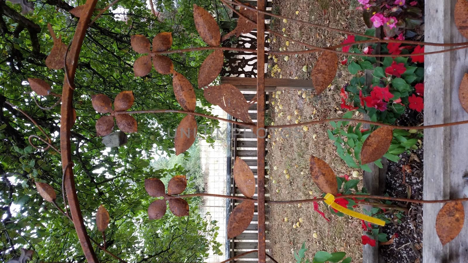 plant with red flowers and rusted metal flowers and apple tree