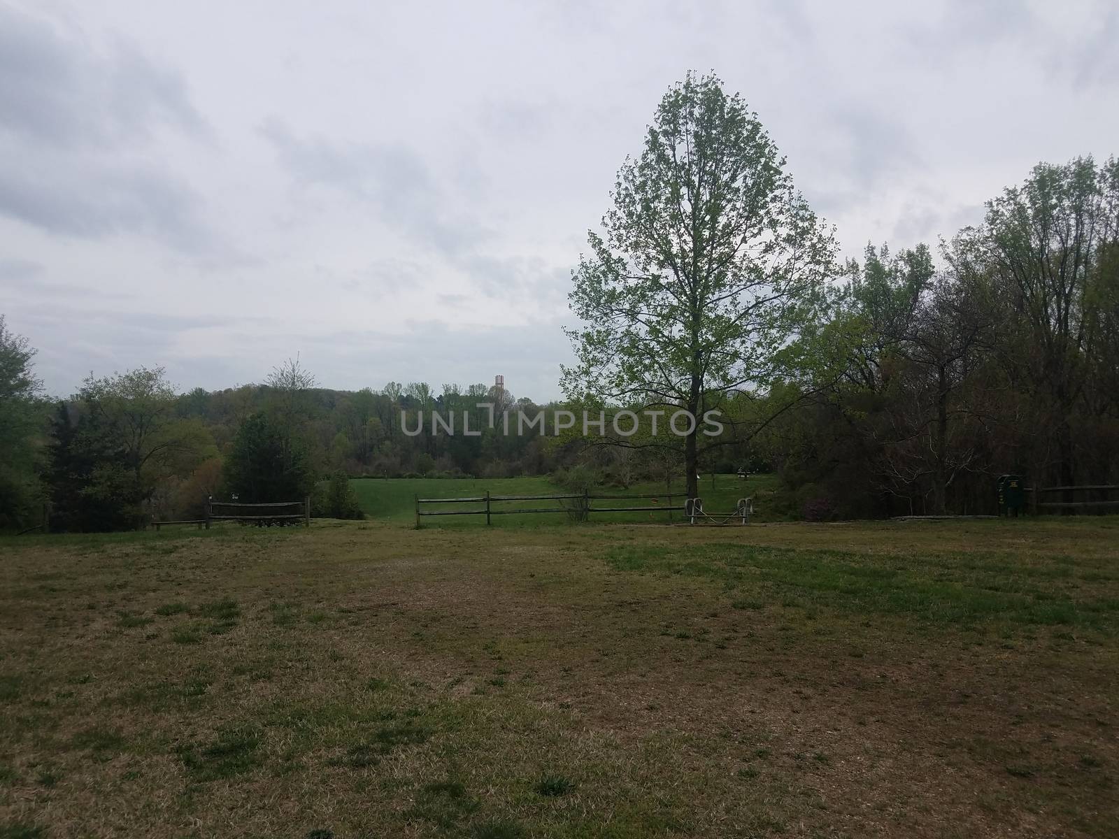 green grass or lawn with tree and fence and upside down picnic table by stockphotofan1