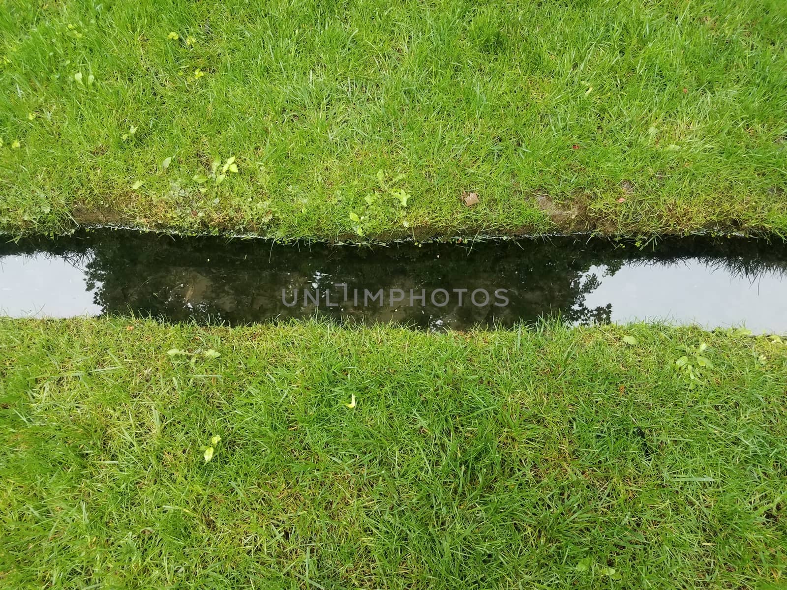 small stream of water and green grass or lawn