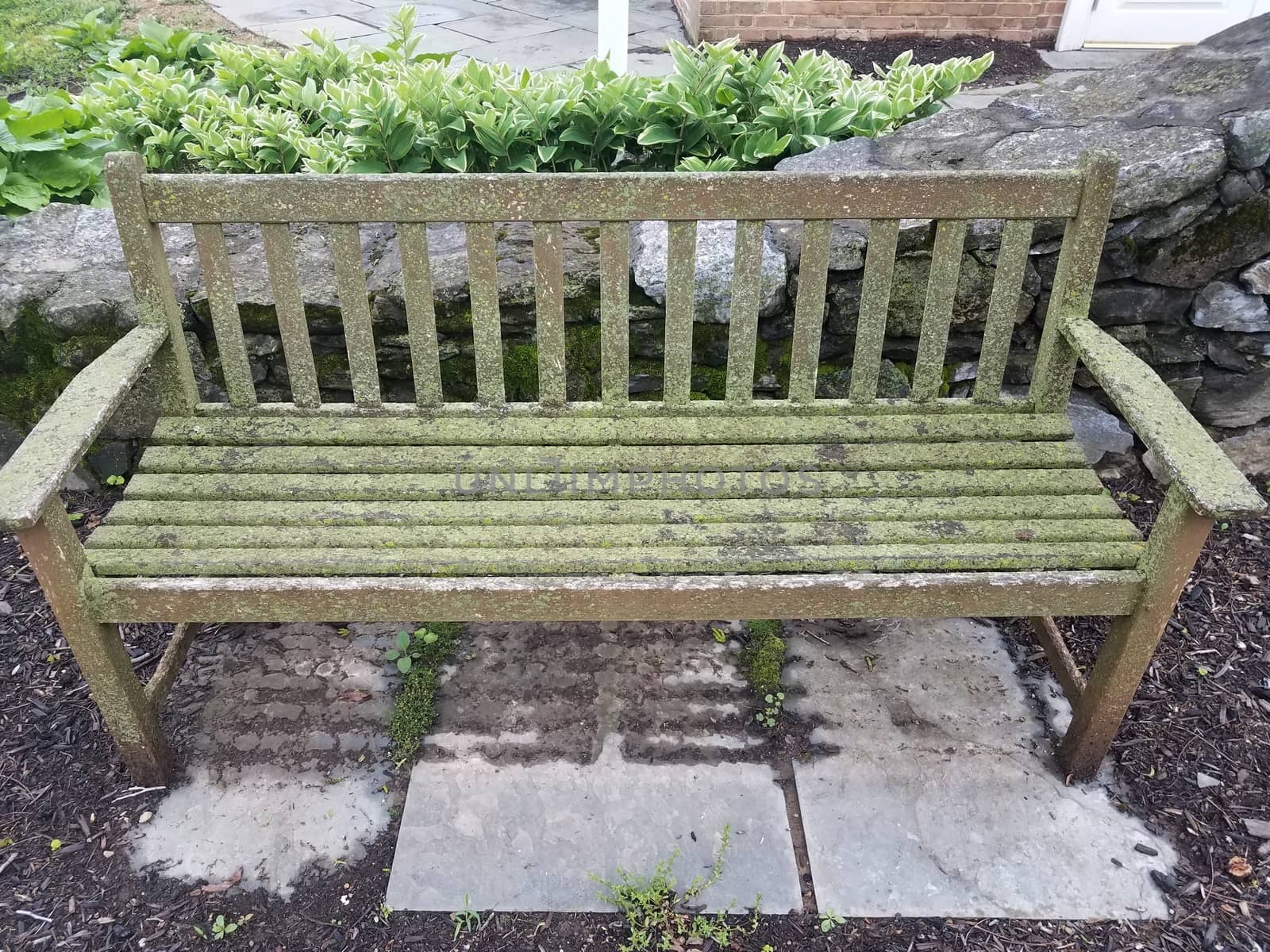 wood bench or seat with green lichen and stone tiles