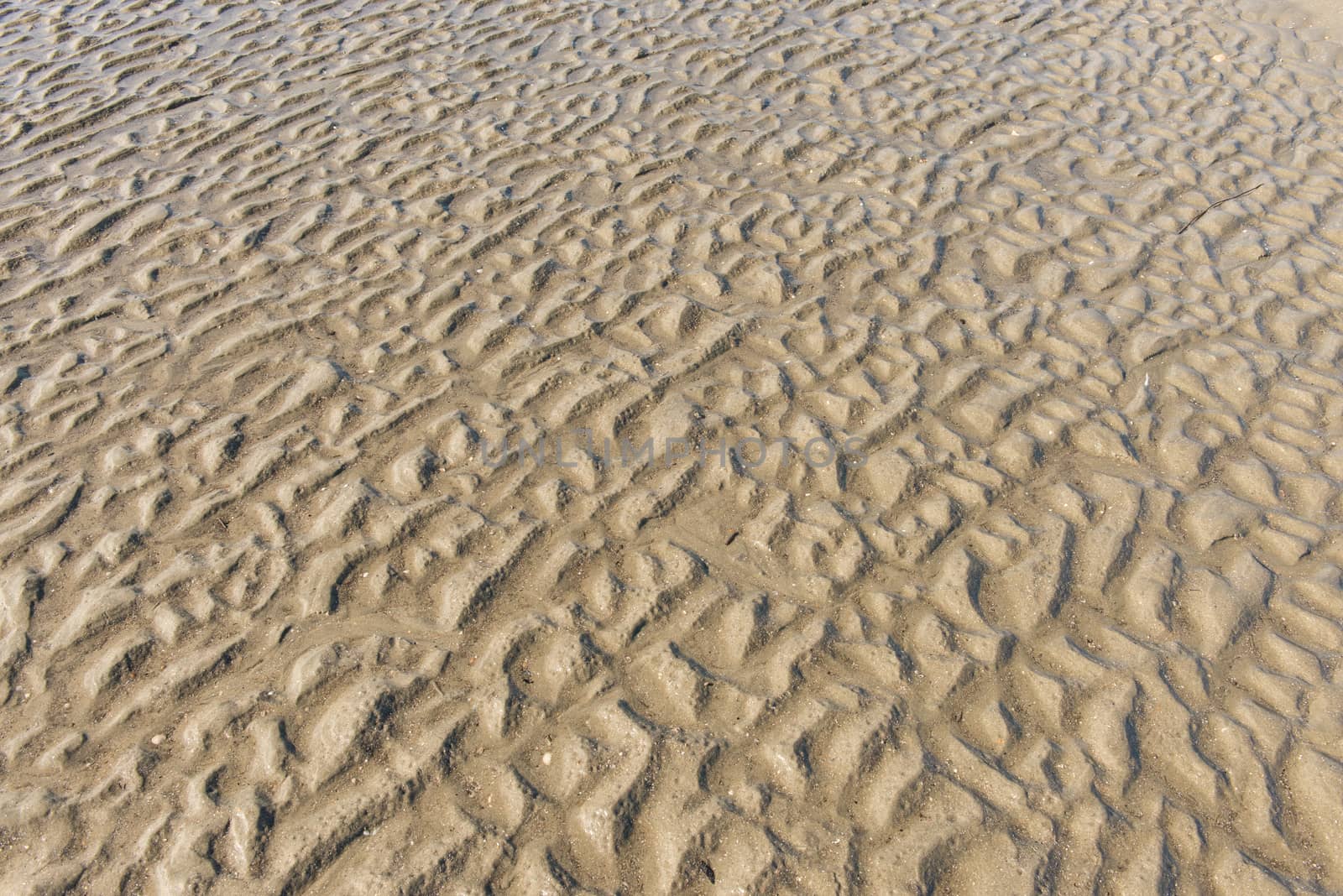 Wavy pattern of the sandy ocean floor at low tide.