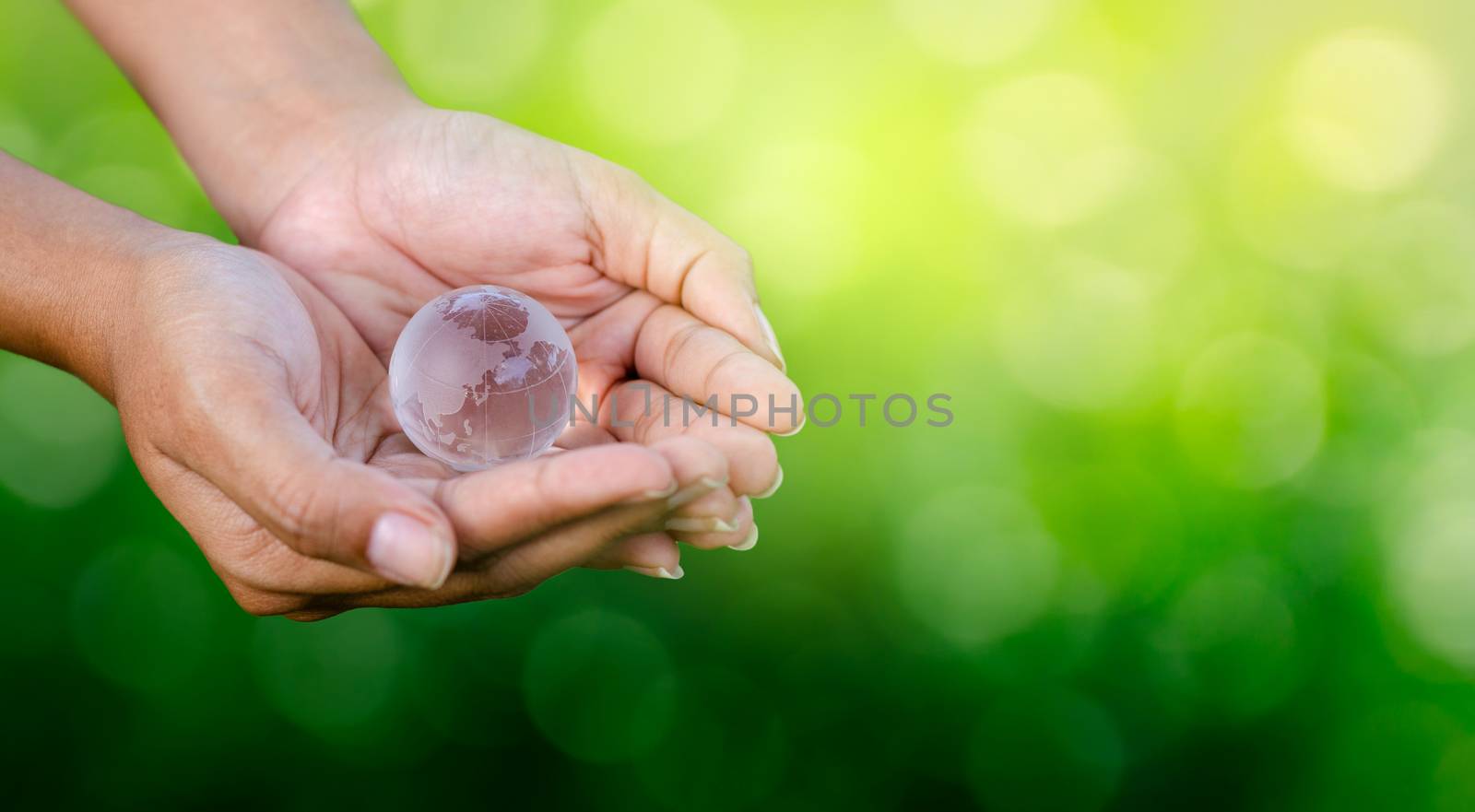 Concept Save the world save environment The world is in the hands of the green bokeh background