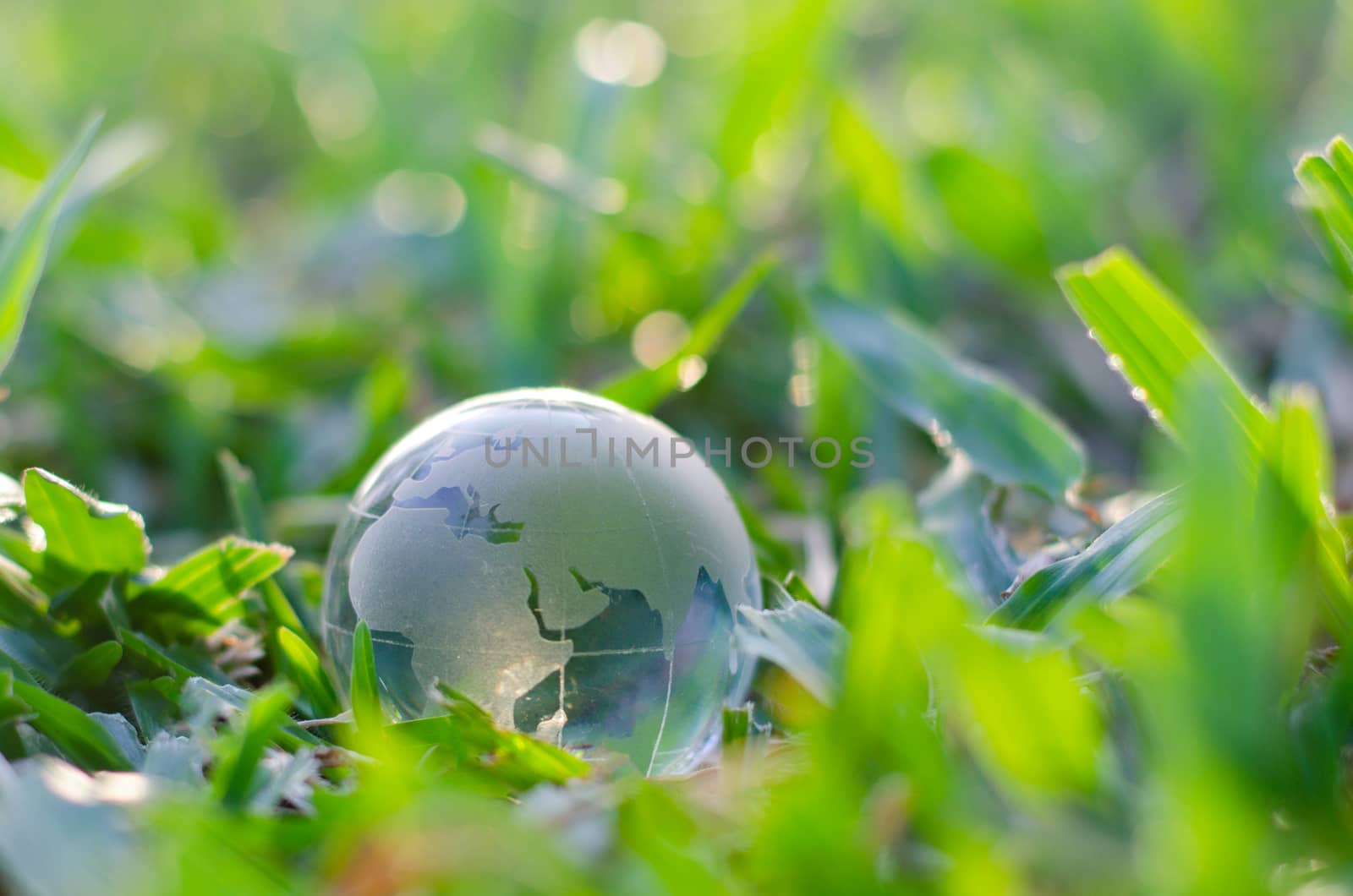 Concept Save the world save environment The world is in the grass of the green bokeh background