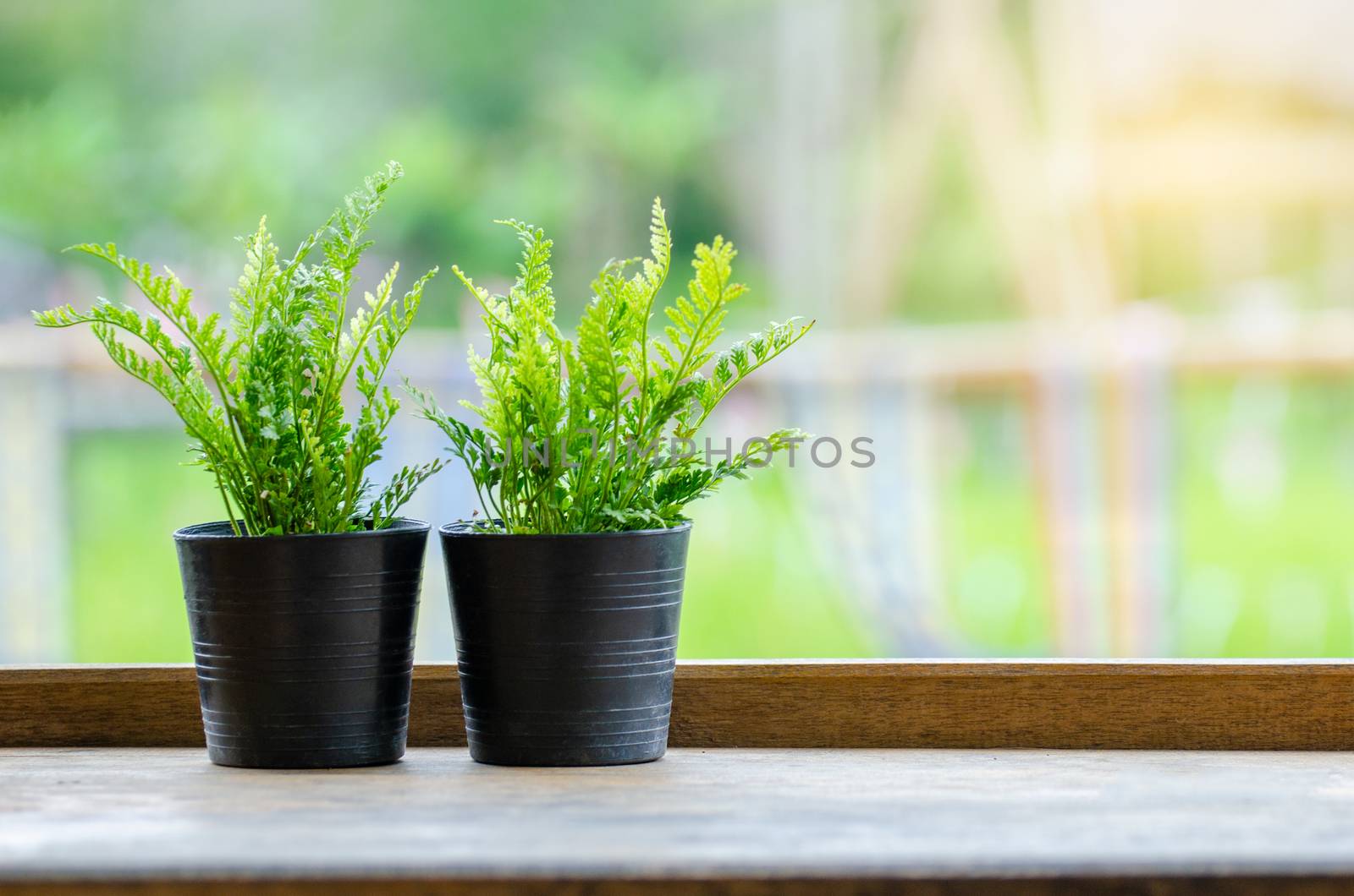 A wooden pot is placed on a wooden floor Green background Counterpart by sarayut_thaneerat