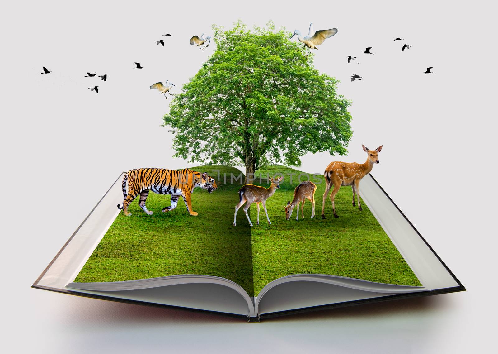 Wildlife Conservation tiger Deer Bird environment book of nature isolated on white open book in paper recycling 3d rendering book of nature with grass and tree growth on it over white background by sarayut_thaneerat