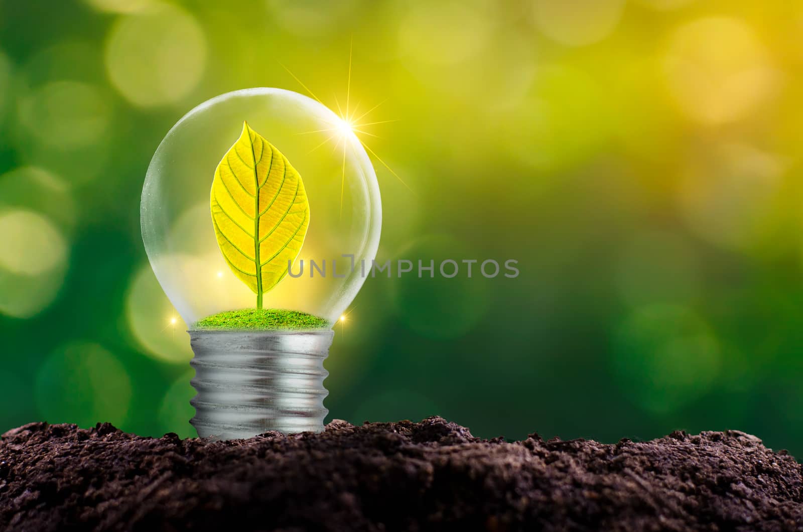 The bulb is located on the inside with leaves forest and the trees are in the light. Concepts of environmental conservation and global warming plant growing inside lamp bulb over dry