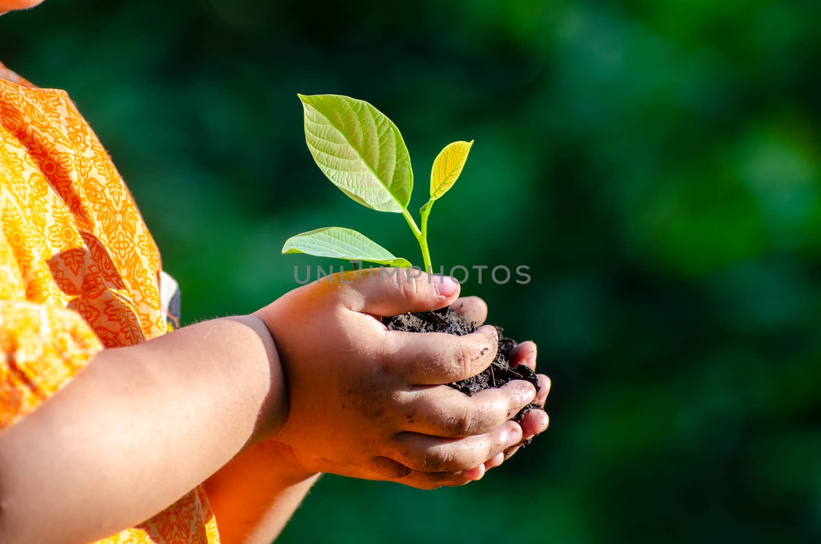 tree sapling Baby Hand On the dark ground, the concept implanted children's consciousness into the environment