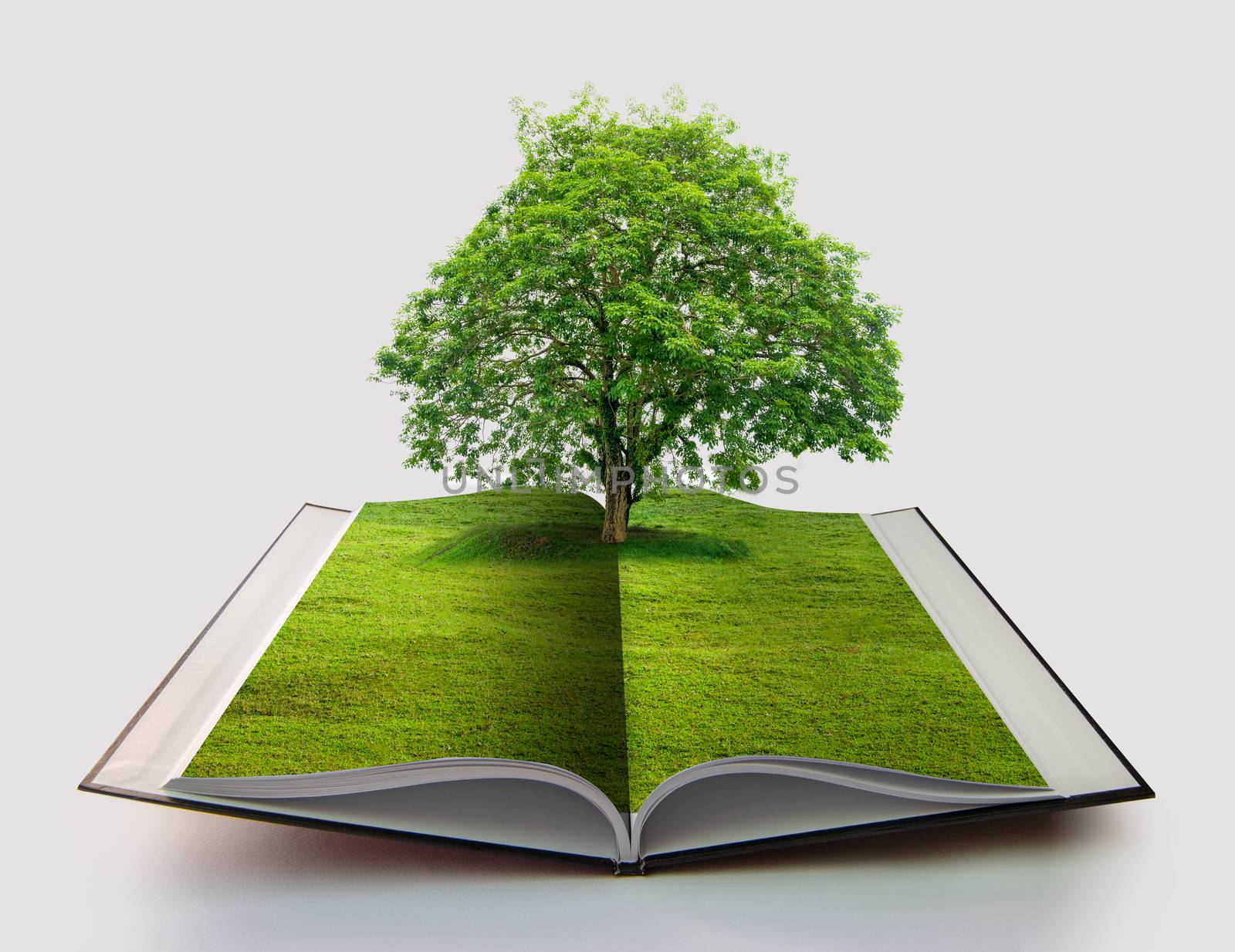 book of nature isolated on white open book in paper recycling concept 3d rendering book of nature with grass and tree growth on it over white blue background by sarayut_thaneerat