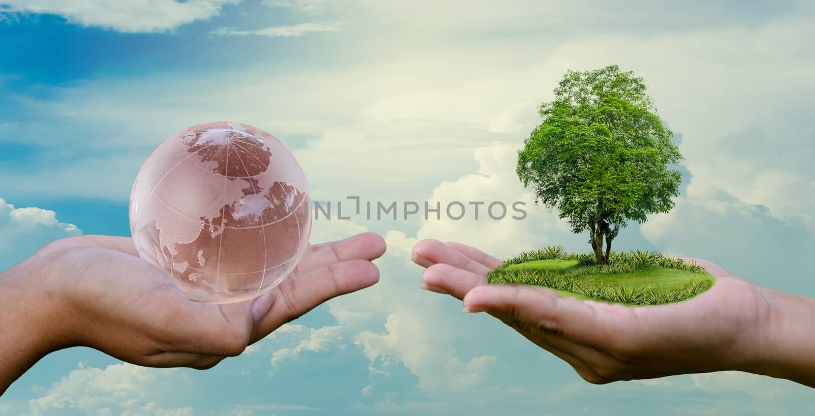 Concept Save the world save environment The world is in the hands of the sky
