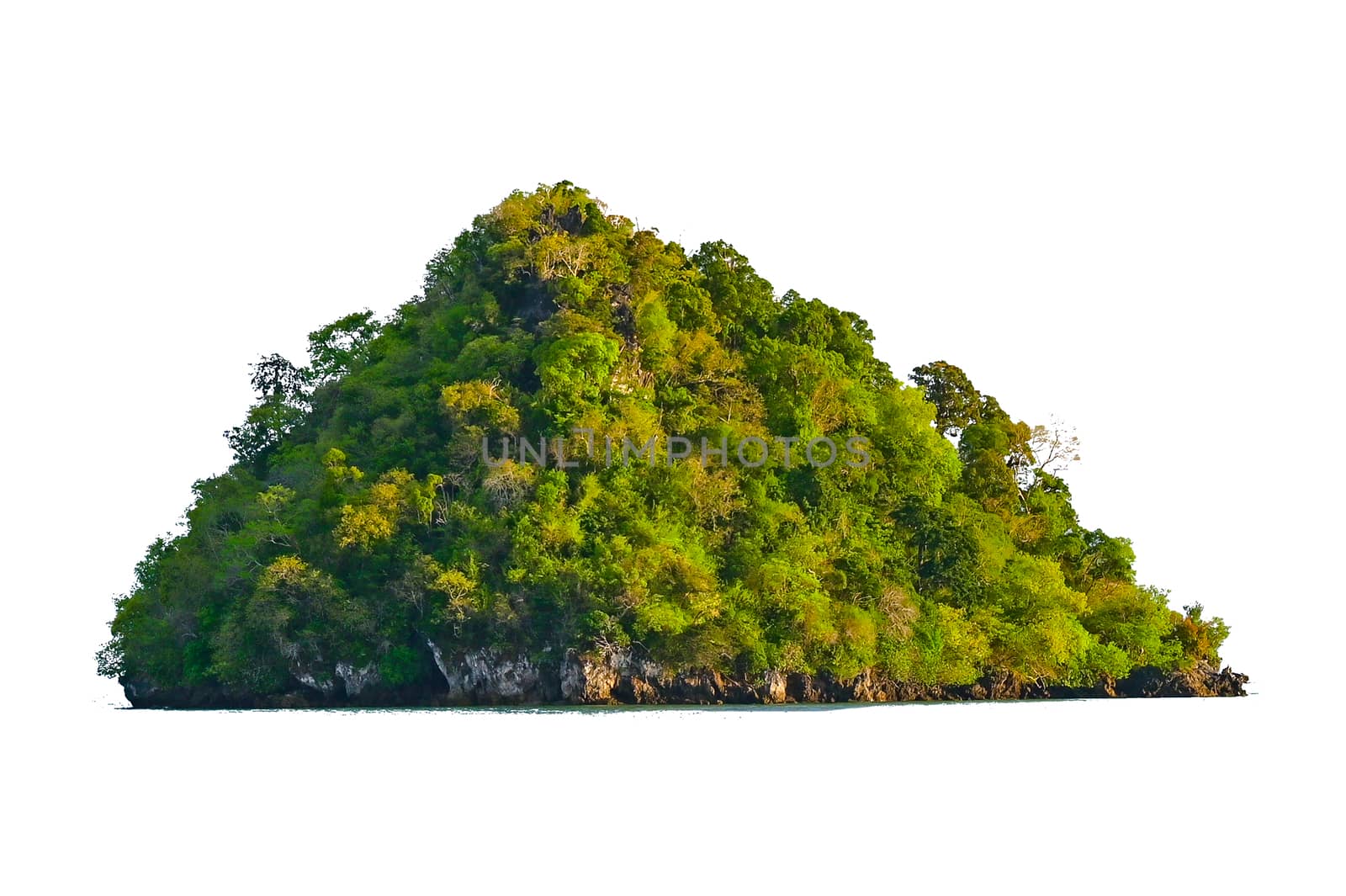 Isolate the island in the middle of the green sea white background separated from the background