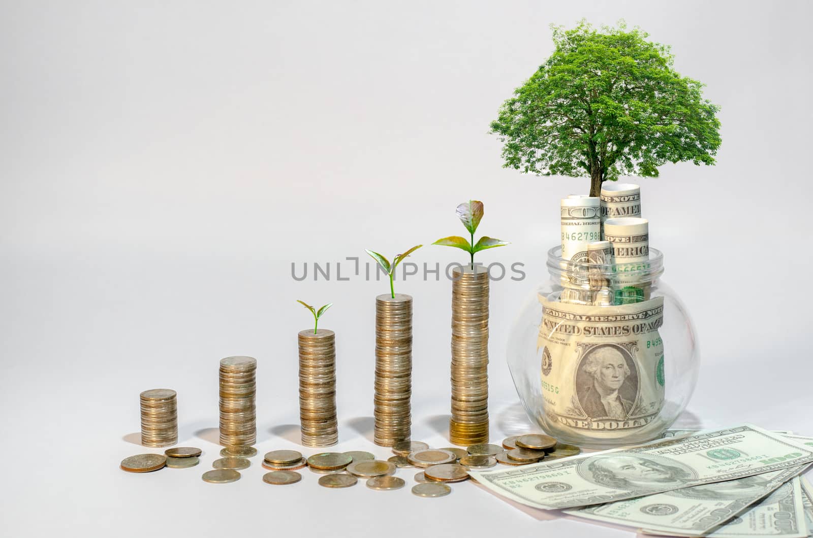 Money growth Saving money. Upper tree coins to shown concept of growing business by sarayut_thaneerat