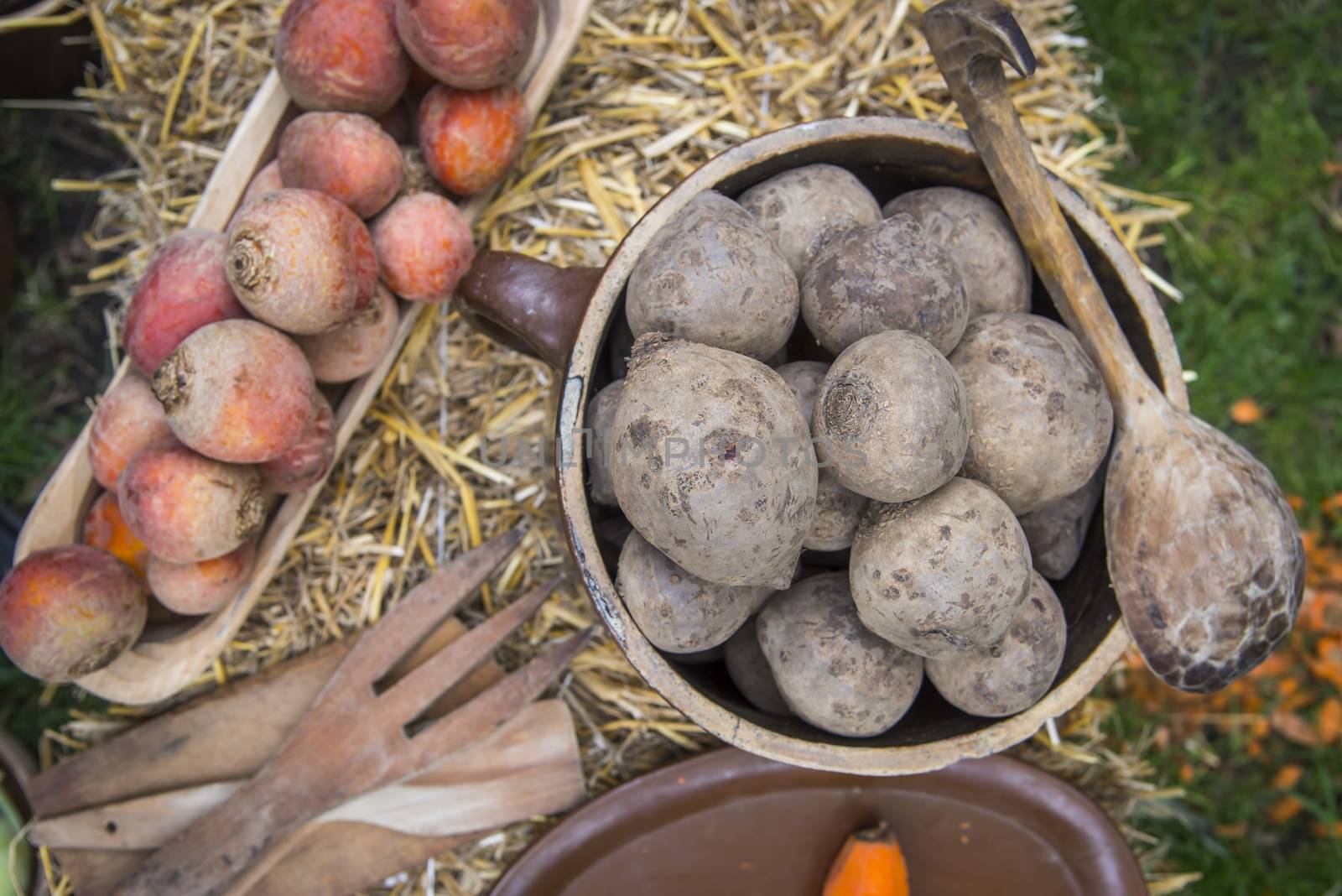 Organic and healthy vegetables on hay