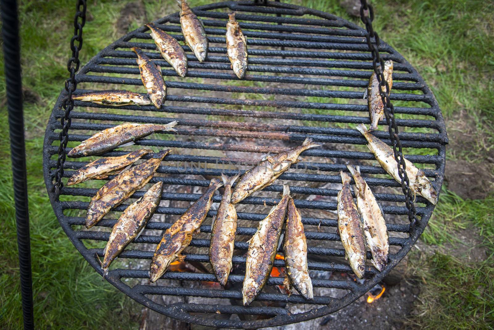 whitefish during frying on fire