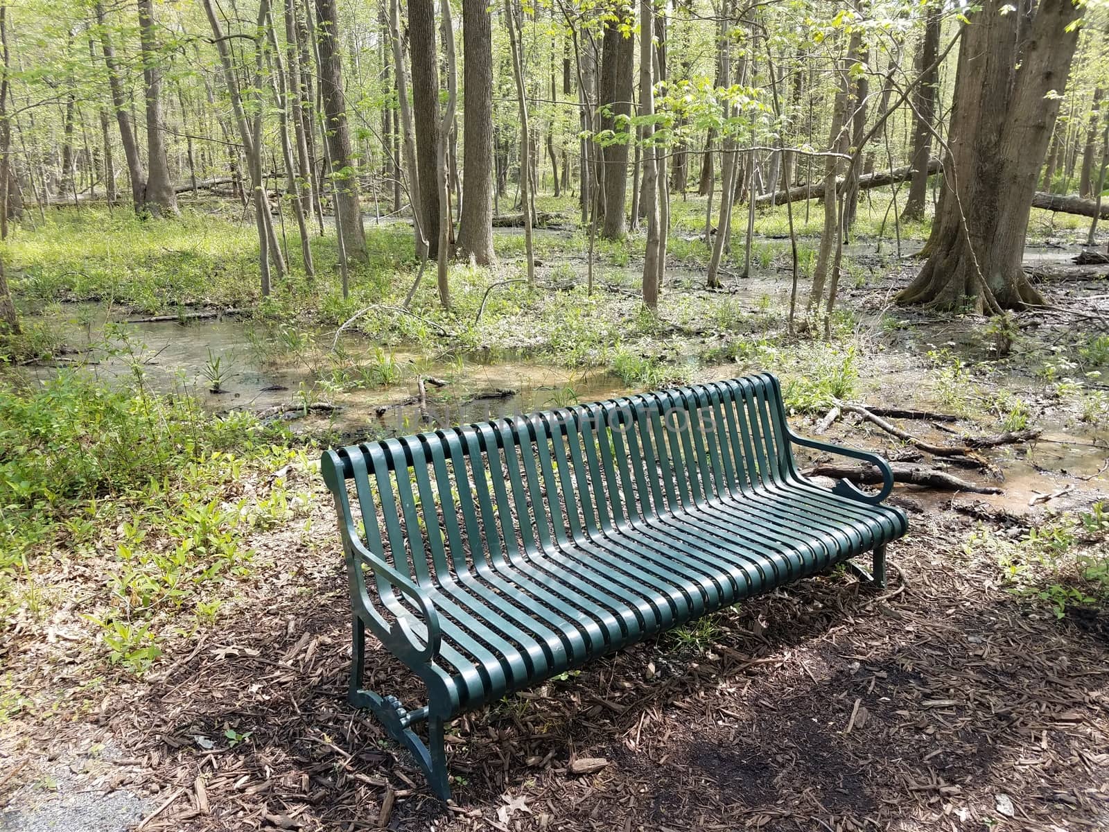 green metal bench or seat in forest or woods with water by stockphotofan1