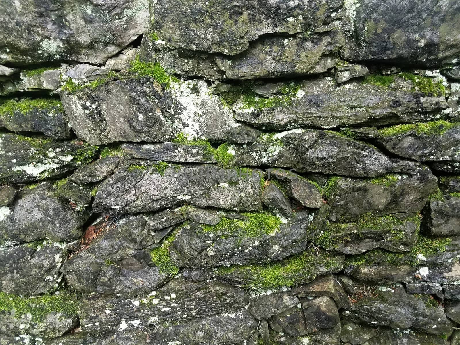 grey rock wall with green moss and lichen by stockphotofan1